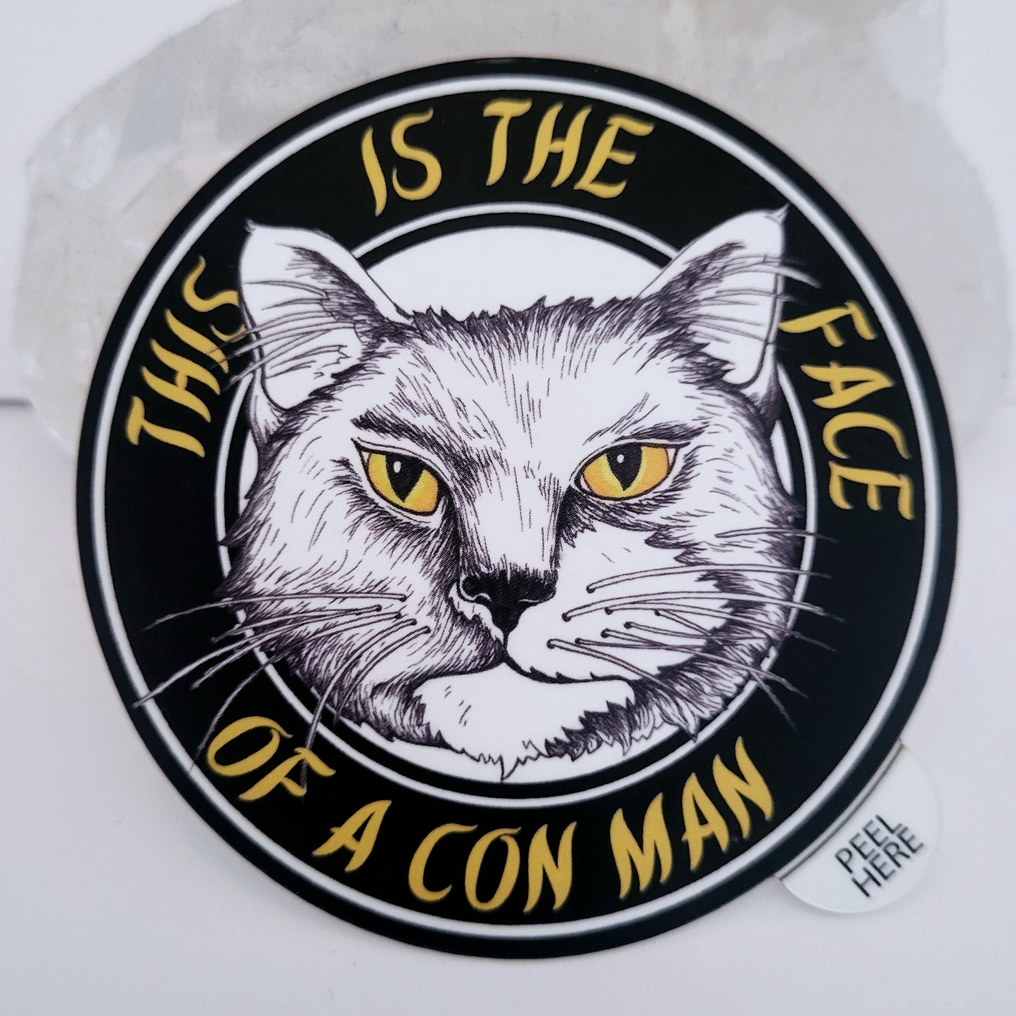Face of a Con Man Cat Art Vinyl Sticker
