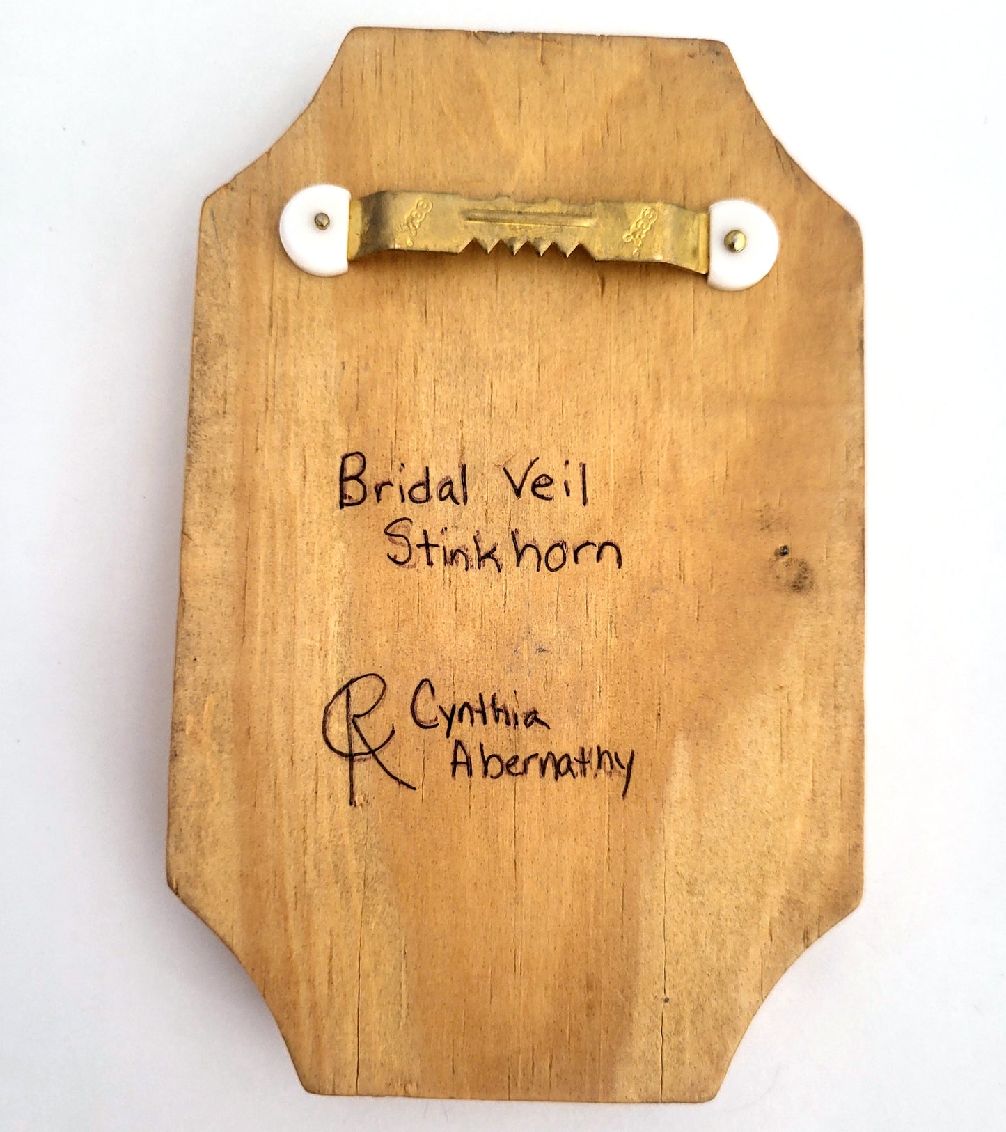 Bridal Veil Stinkhorn Original Leather Mushroom Art