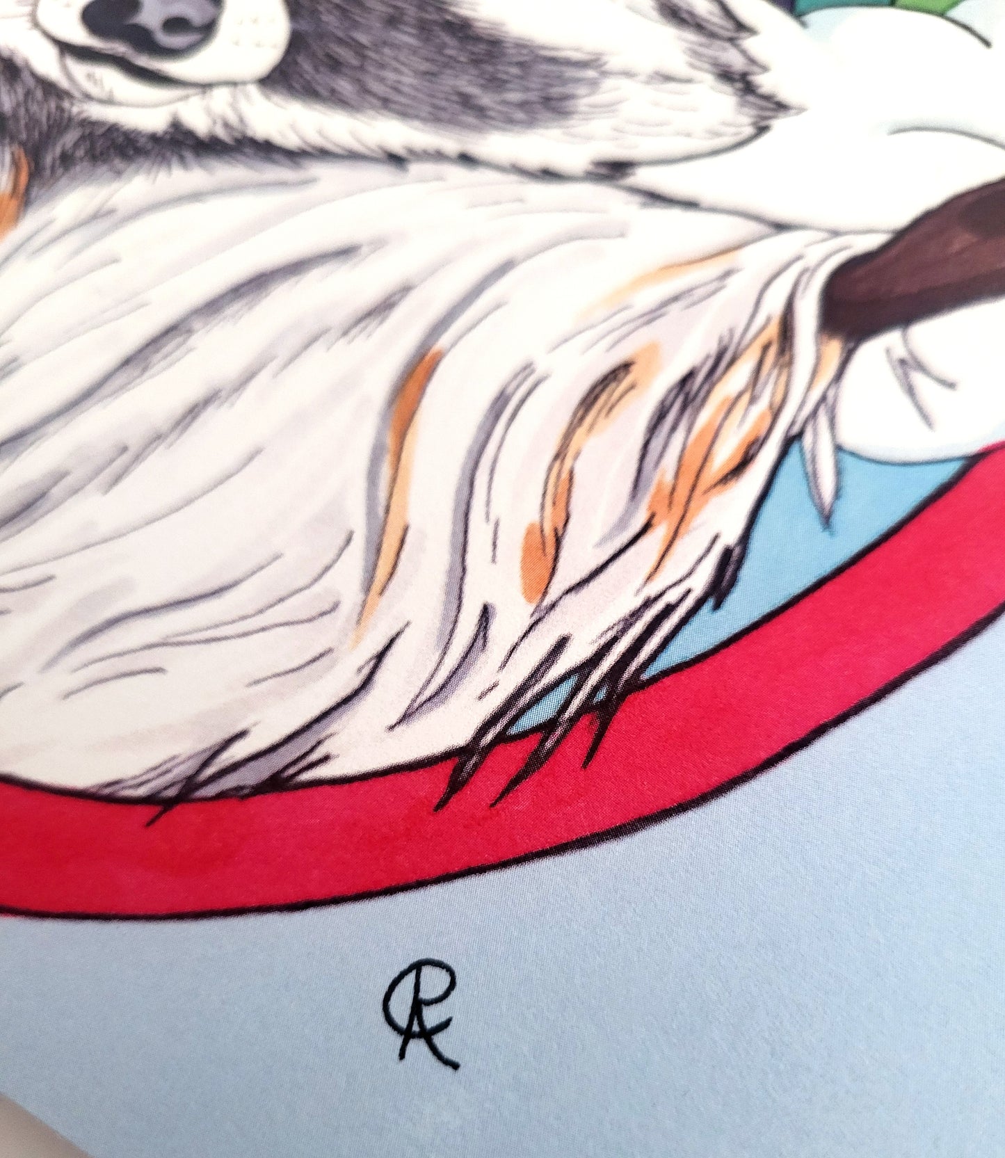 Rainbow Raccoon Art Reproduction