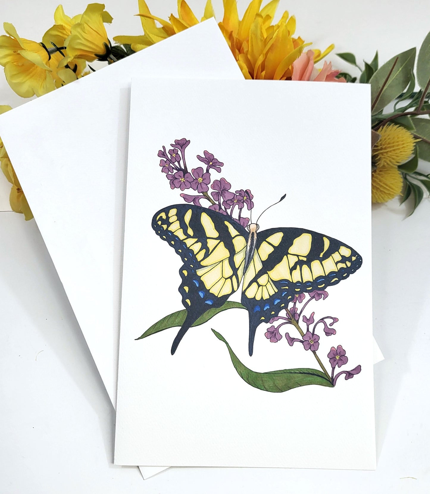 Swallowtail Butterfly Greeting Card