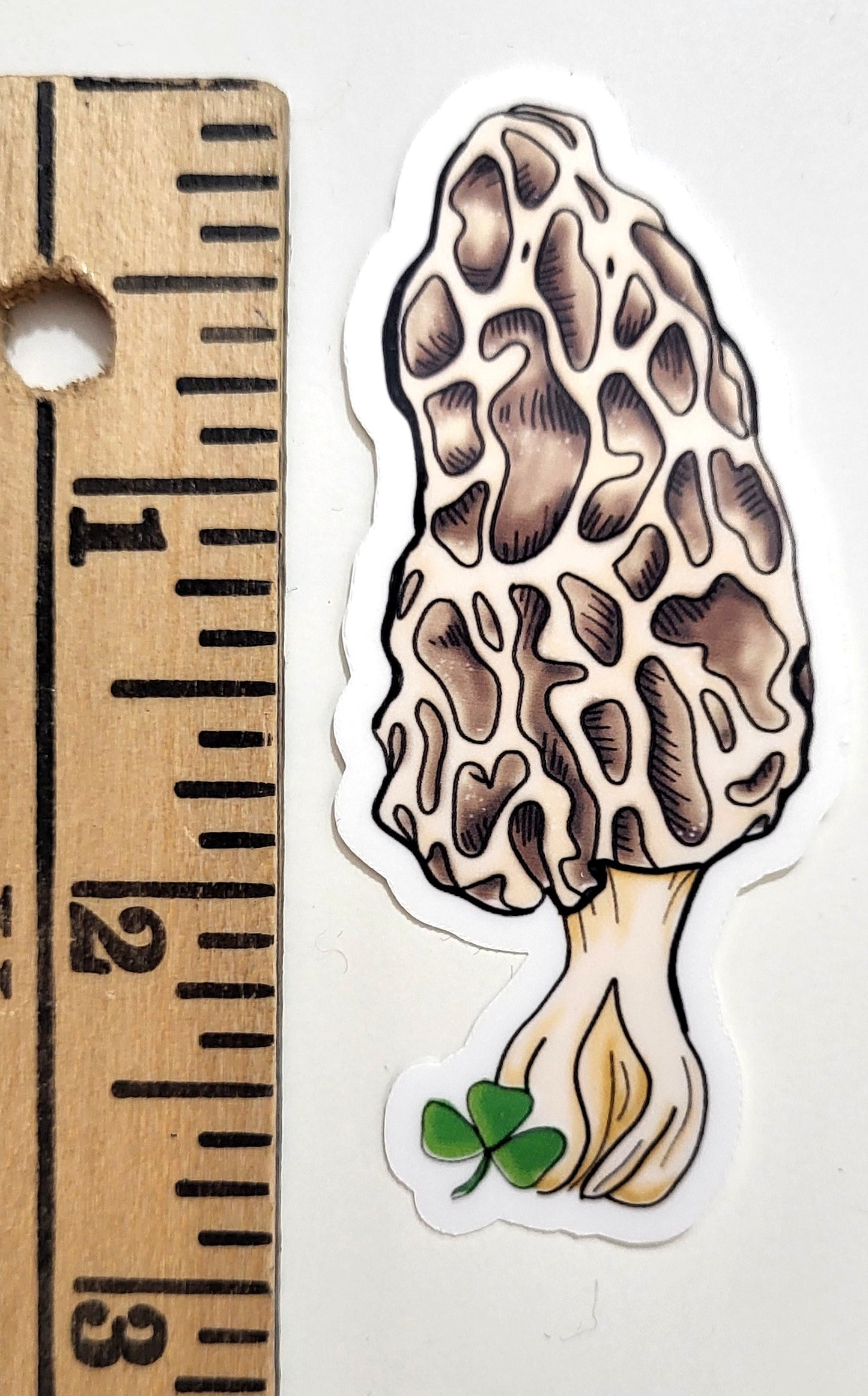 Morel Mushroom Vinyl Sticker