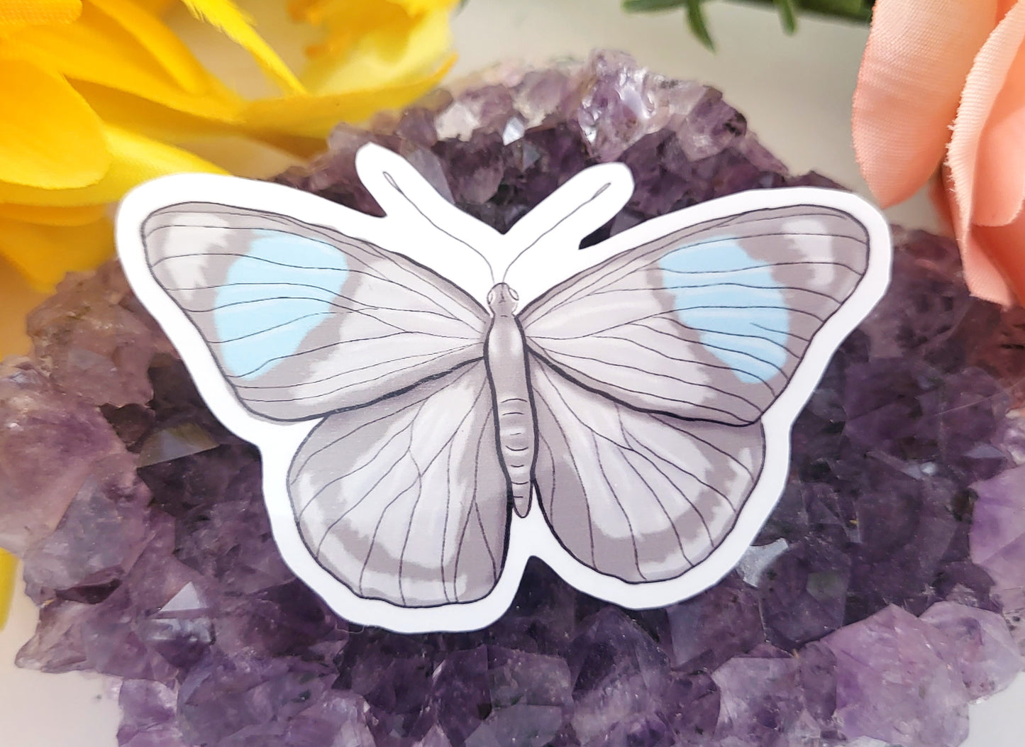 Pride Flag Butterfly Vinyl Stickers