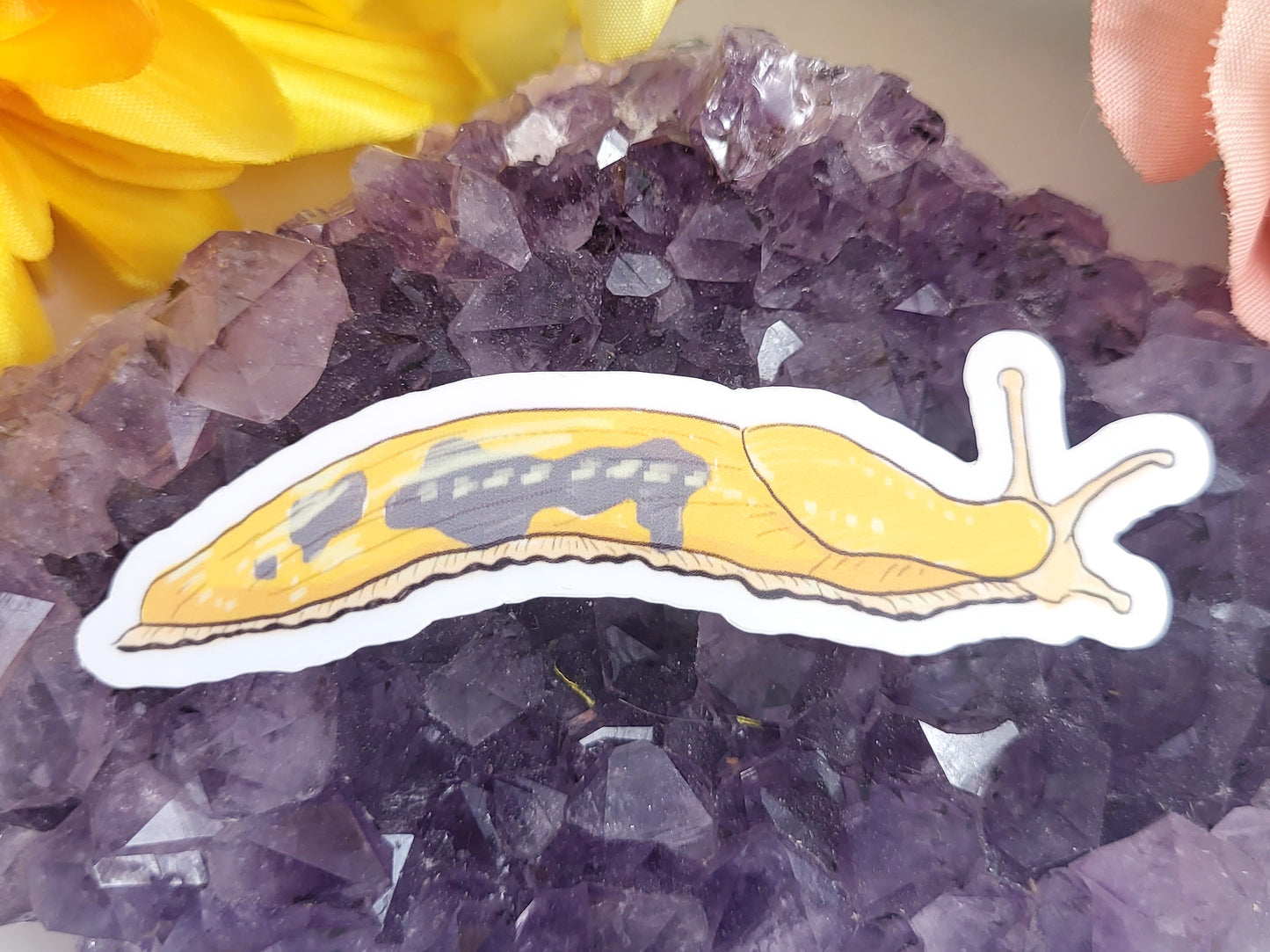 Banana Slugs Sticker Set