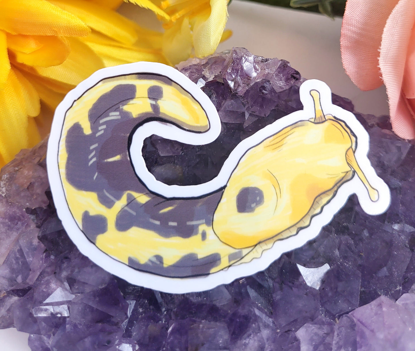 Banana Slugs Sticker Set