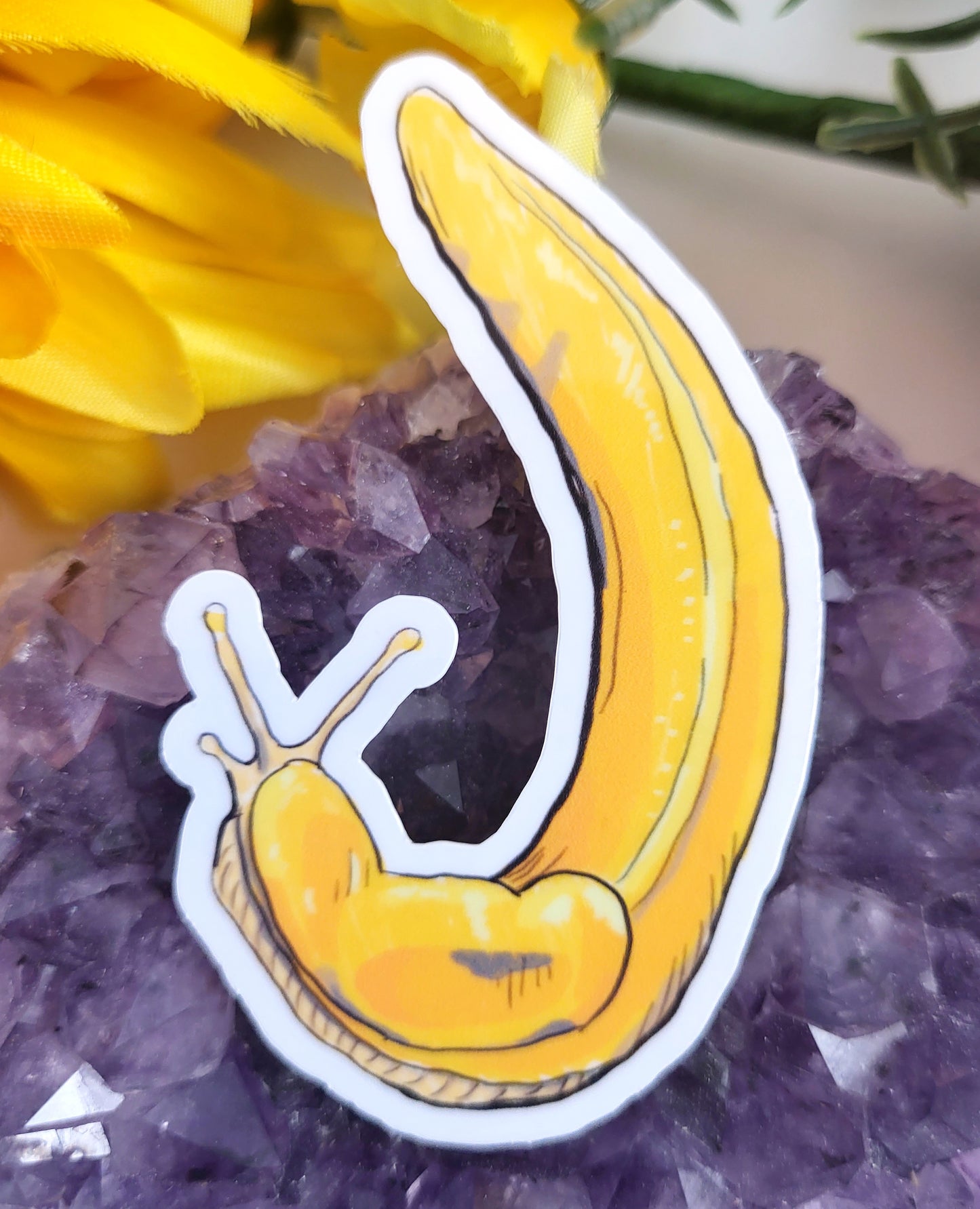 Banana Slugs Sticker Set