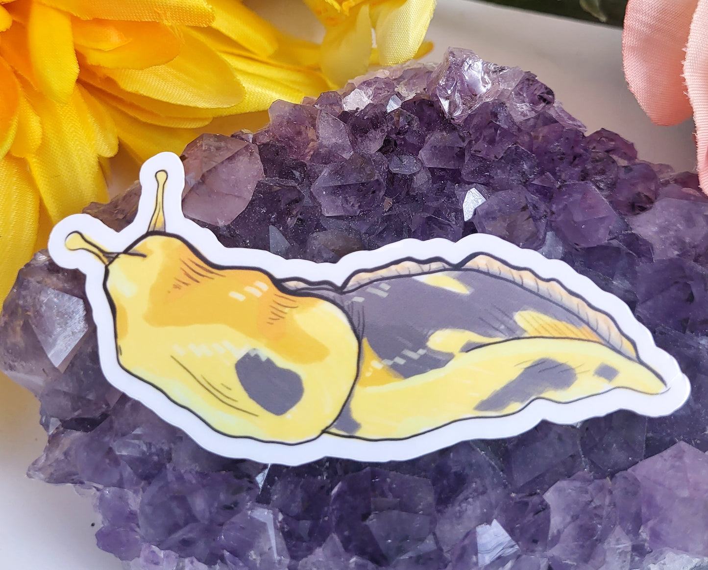 Banana Slugs Sticker Set