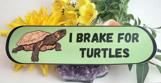 I Brake for Turtles Bumper Sticker