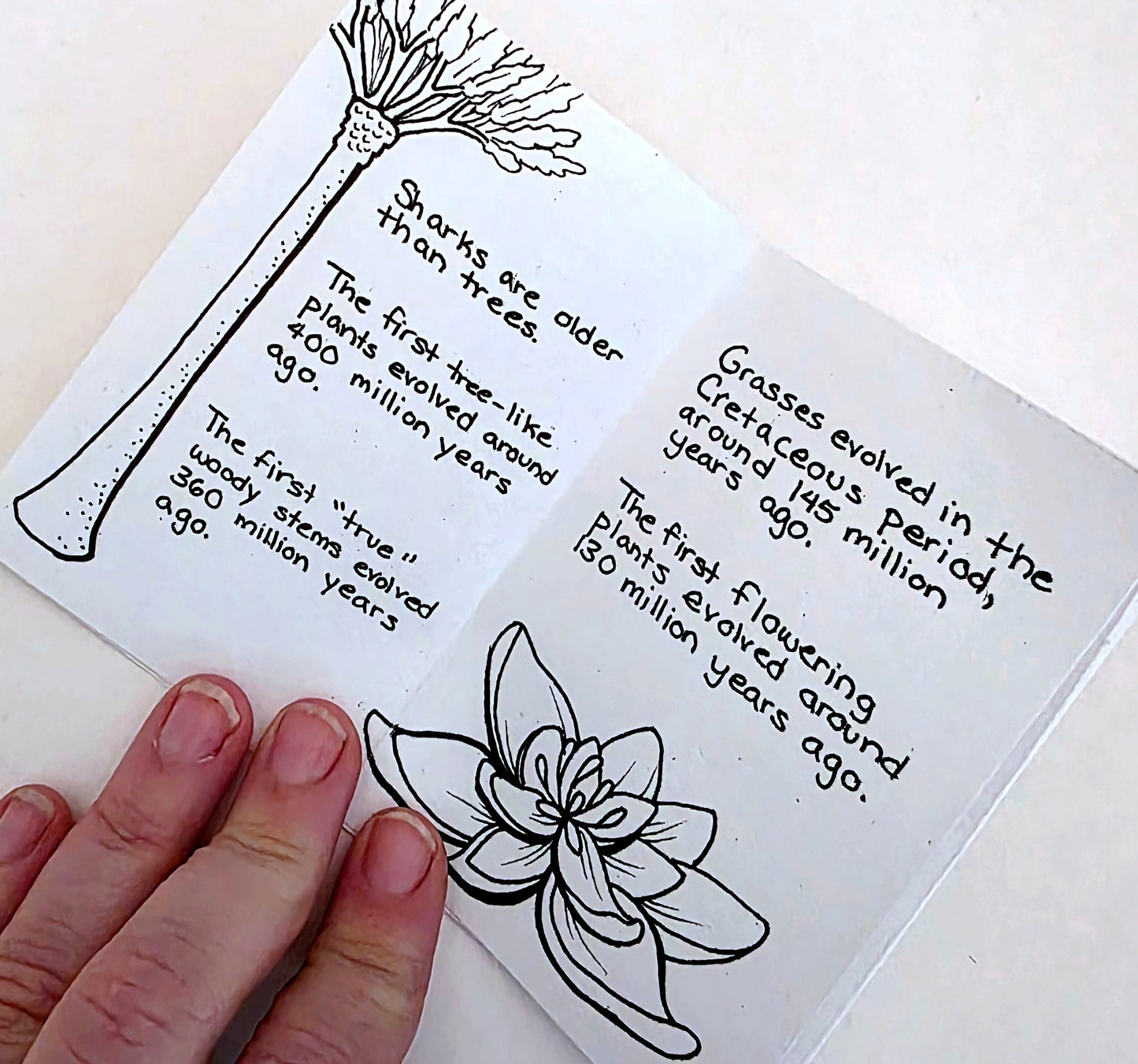 5ish Things (Unexpectedly) Younger Than Sharks Mini Zine