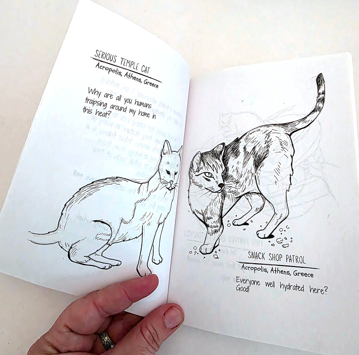 Street Cat Sketches Art Book by Cynthia Abernathy
