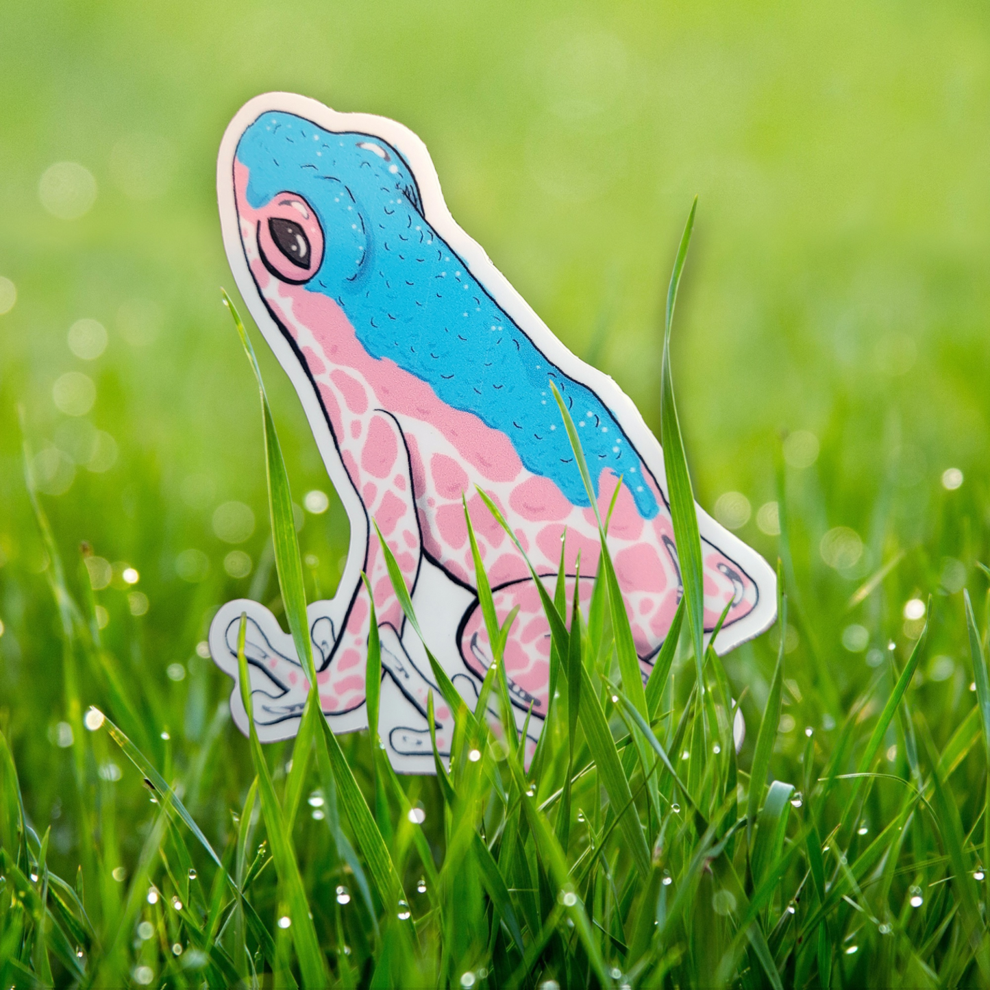 Pride Poison Dart Frog Stickers