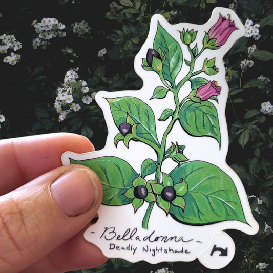 Belladonna Vinyl Sticker