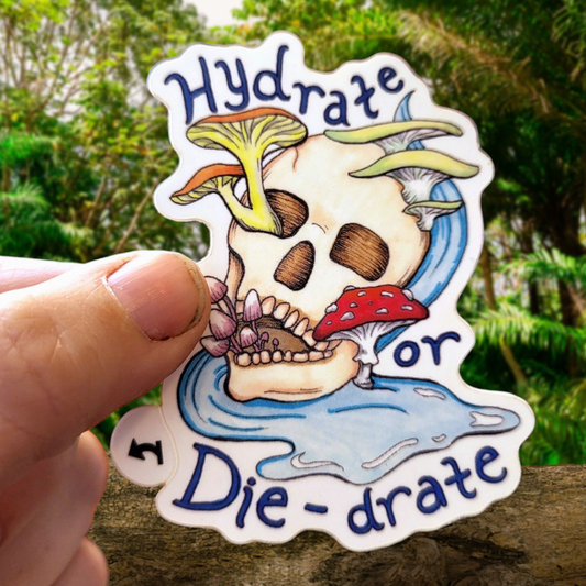 Hydrate or Die-Drate Skull Vinyl Sticker