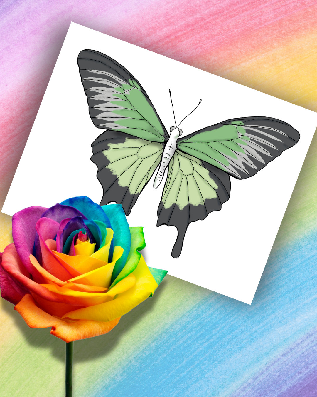 Pride Flag Butterfly Art Prints