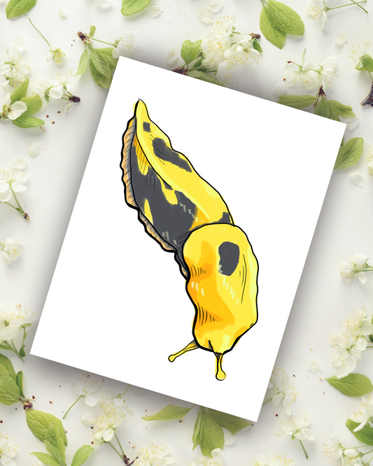 Banana Slug Art Print