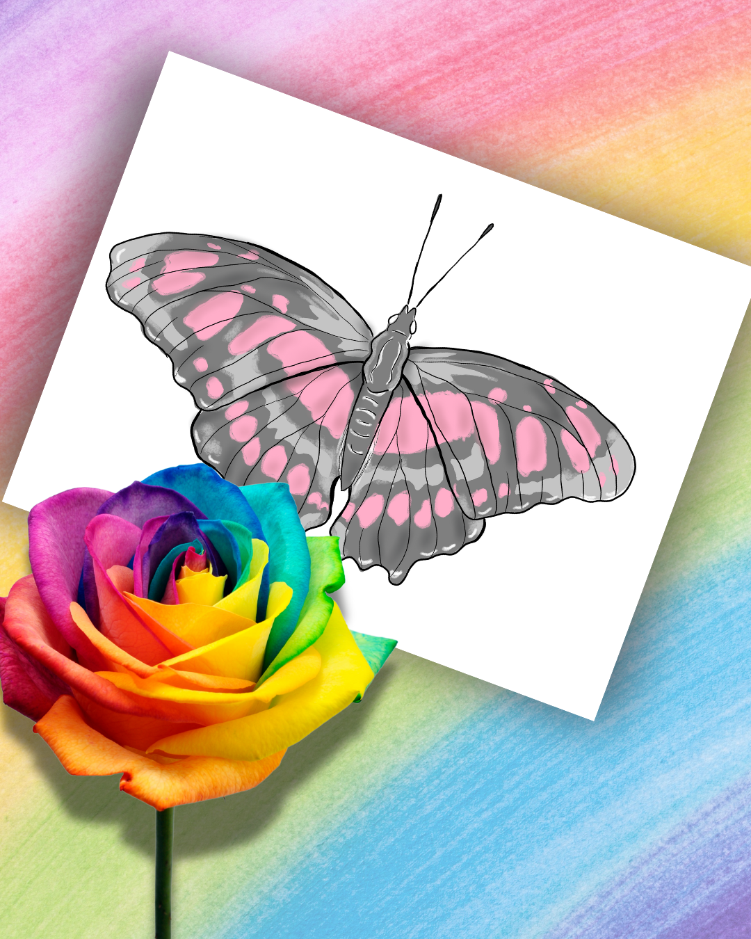 Pride Flag Butterfly Art Prints