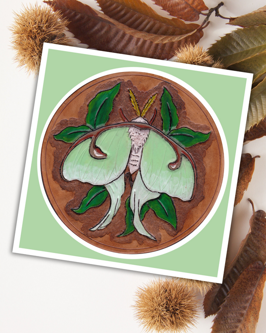 Leather Moth Art Print