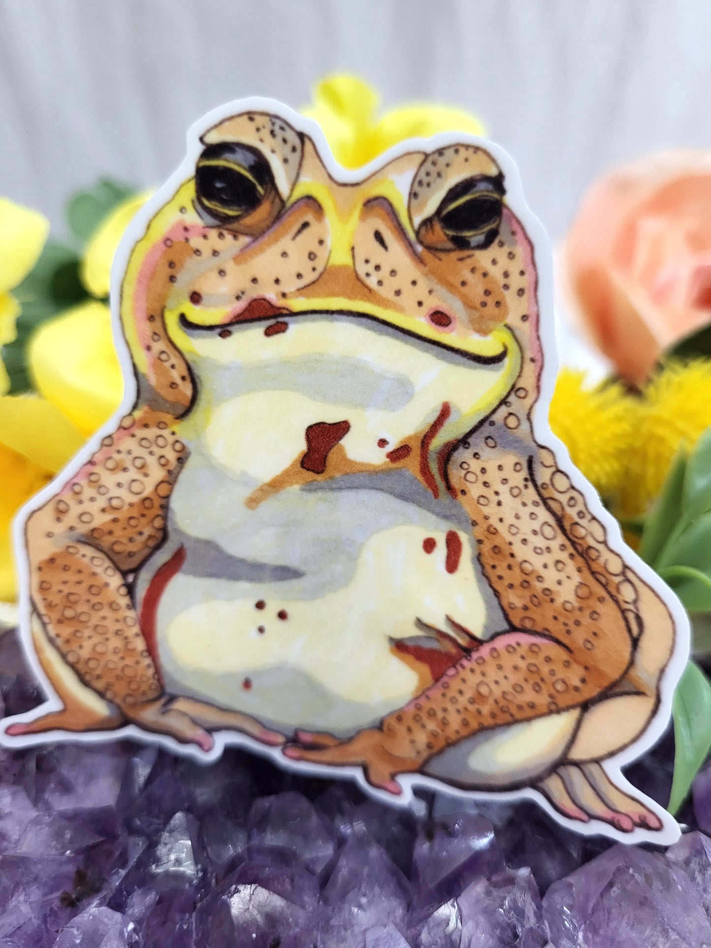 Cane Toad Vinyl Sticker