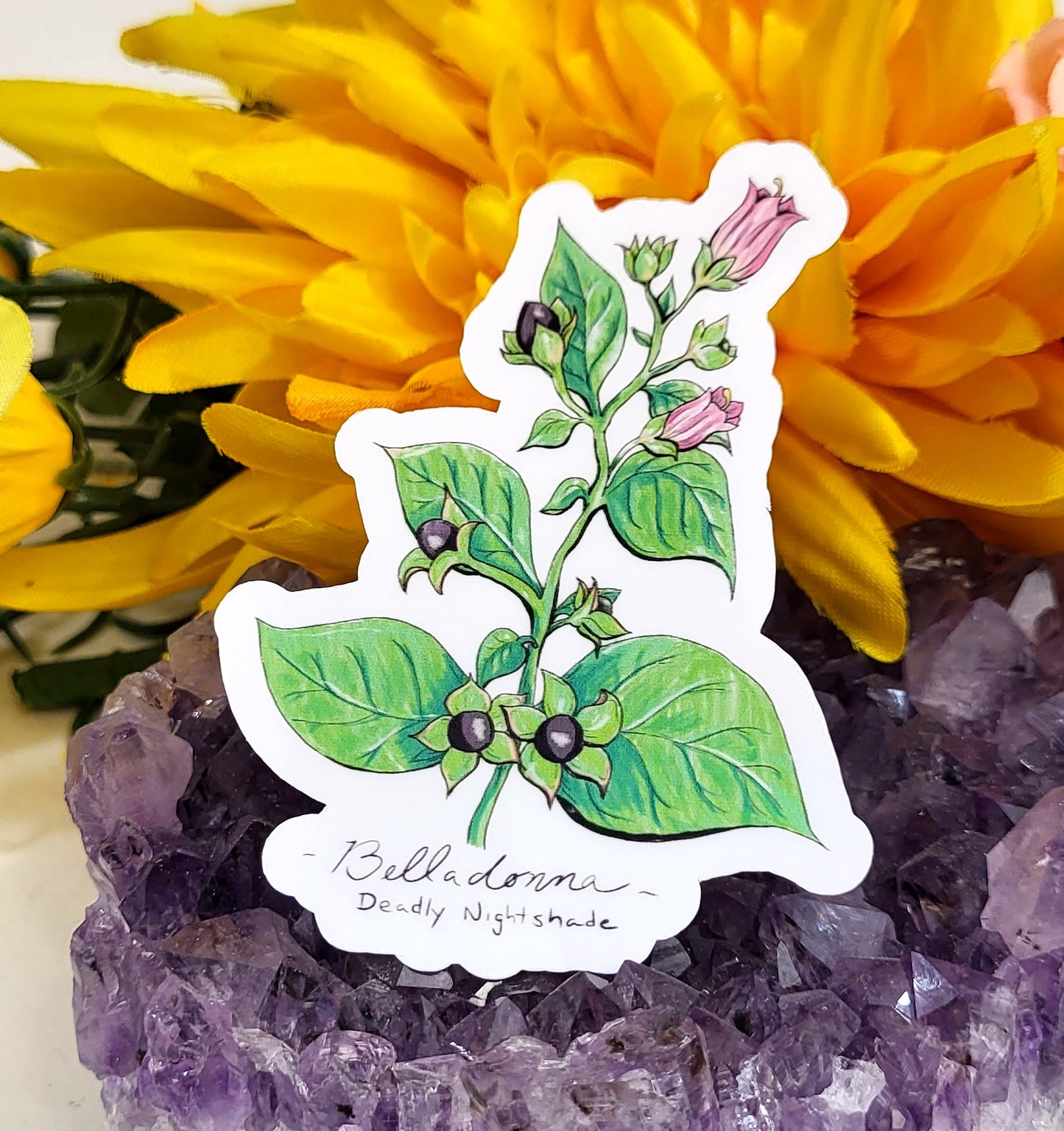 Belladonna Vinyl Sticker
