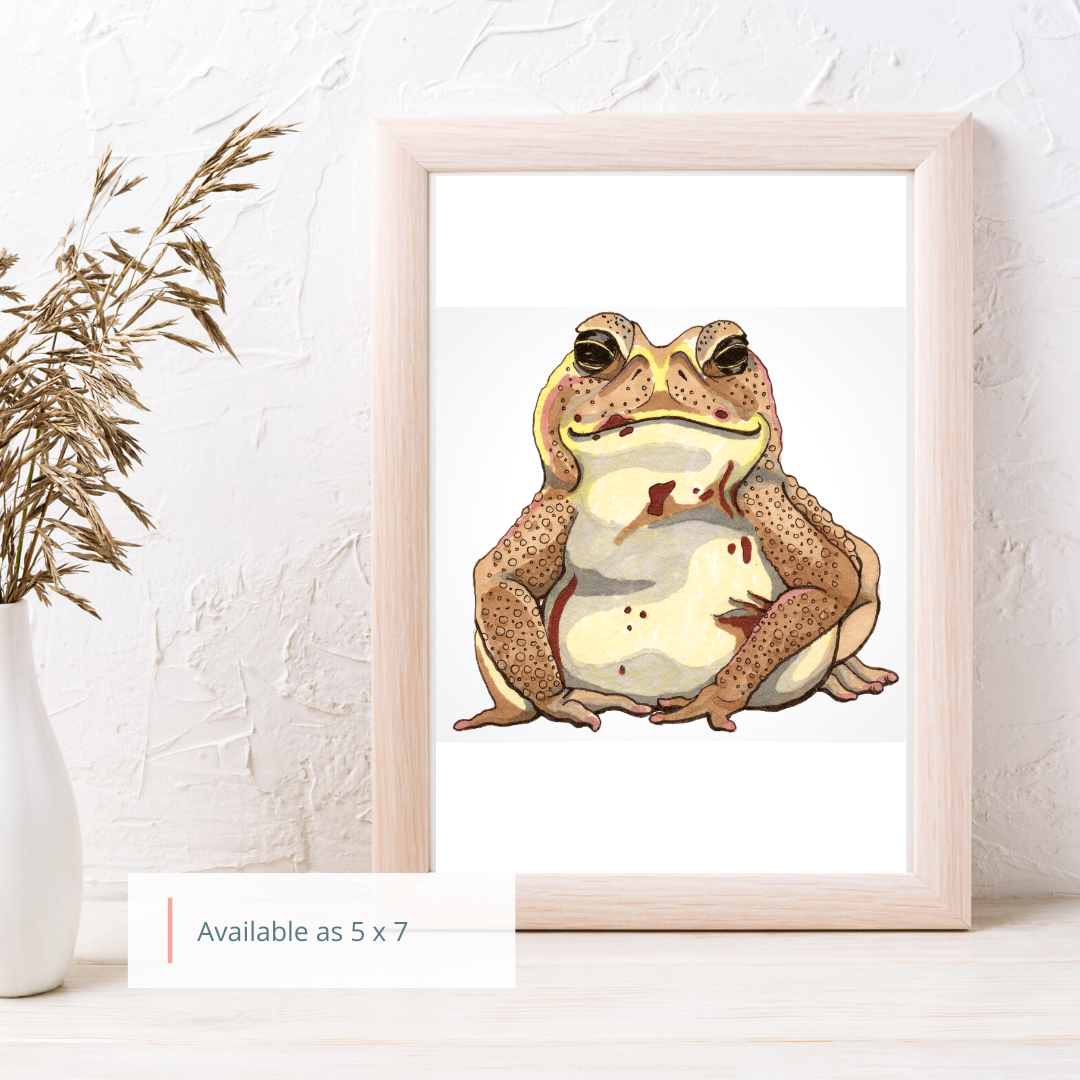 Cane Toad Art Print