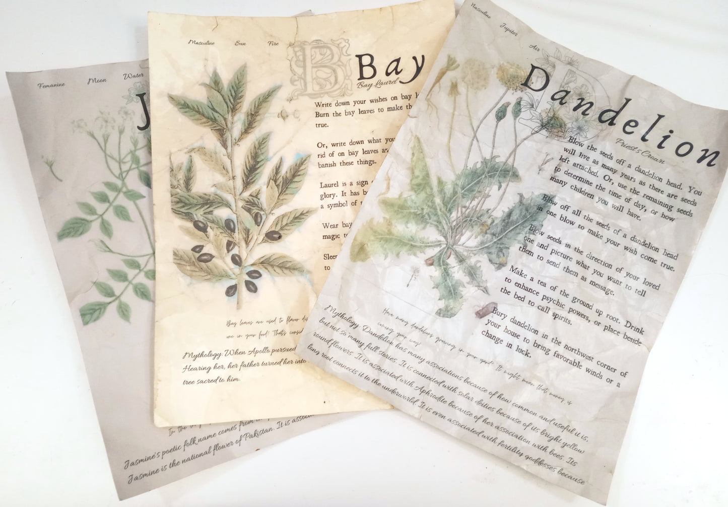 Magical Herbalism Book of Shadows Page Prints