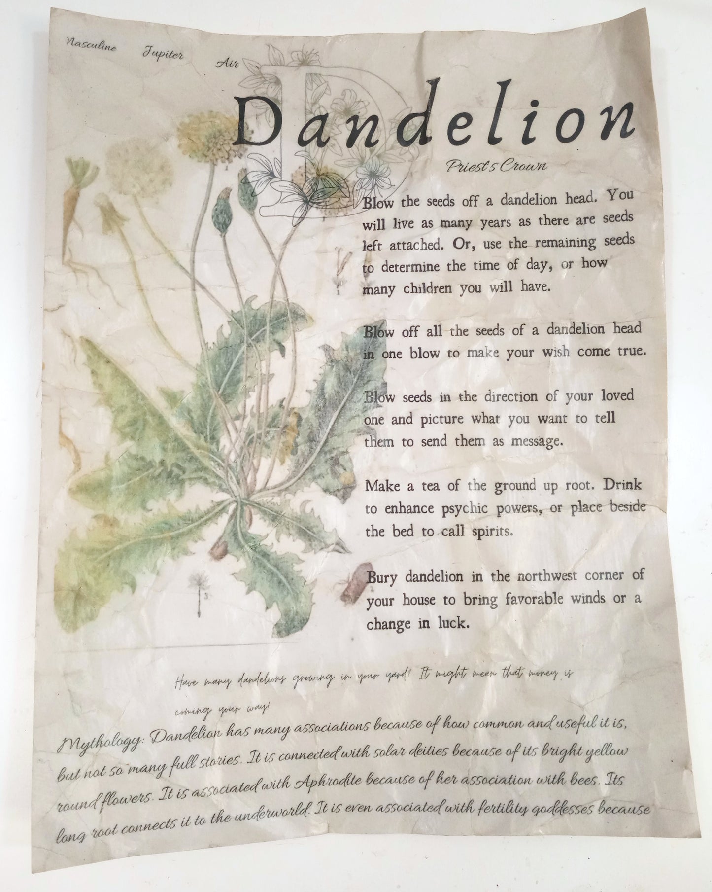 Magical Herbalism Book of Shadows Page Prints