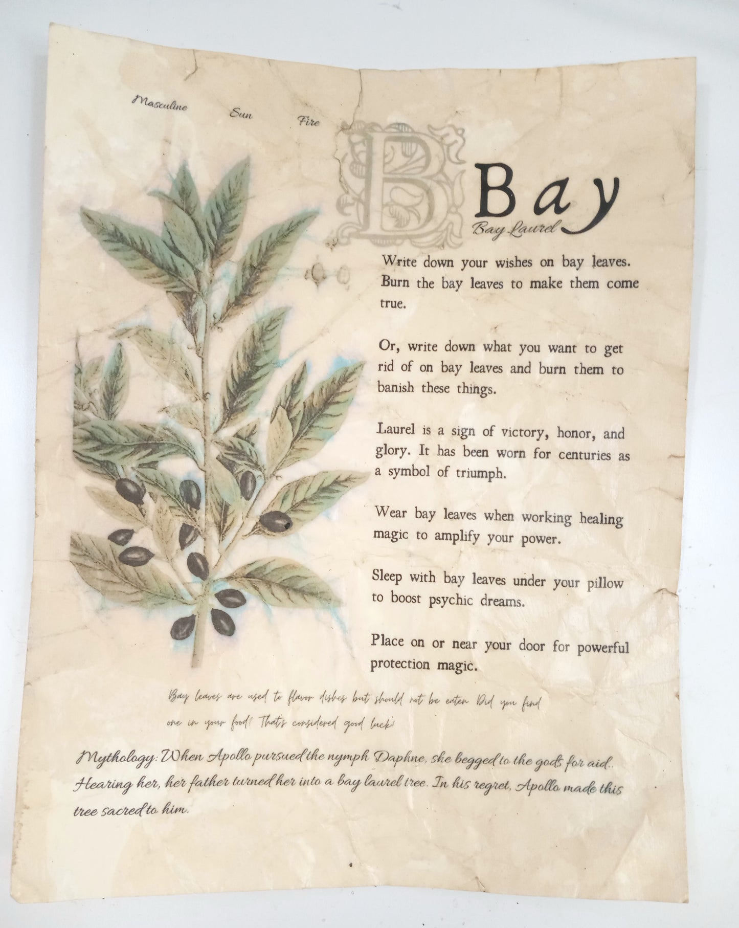 Magical Herbalism Book of Shadows Page Prints