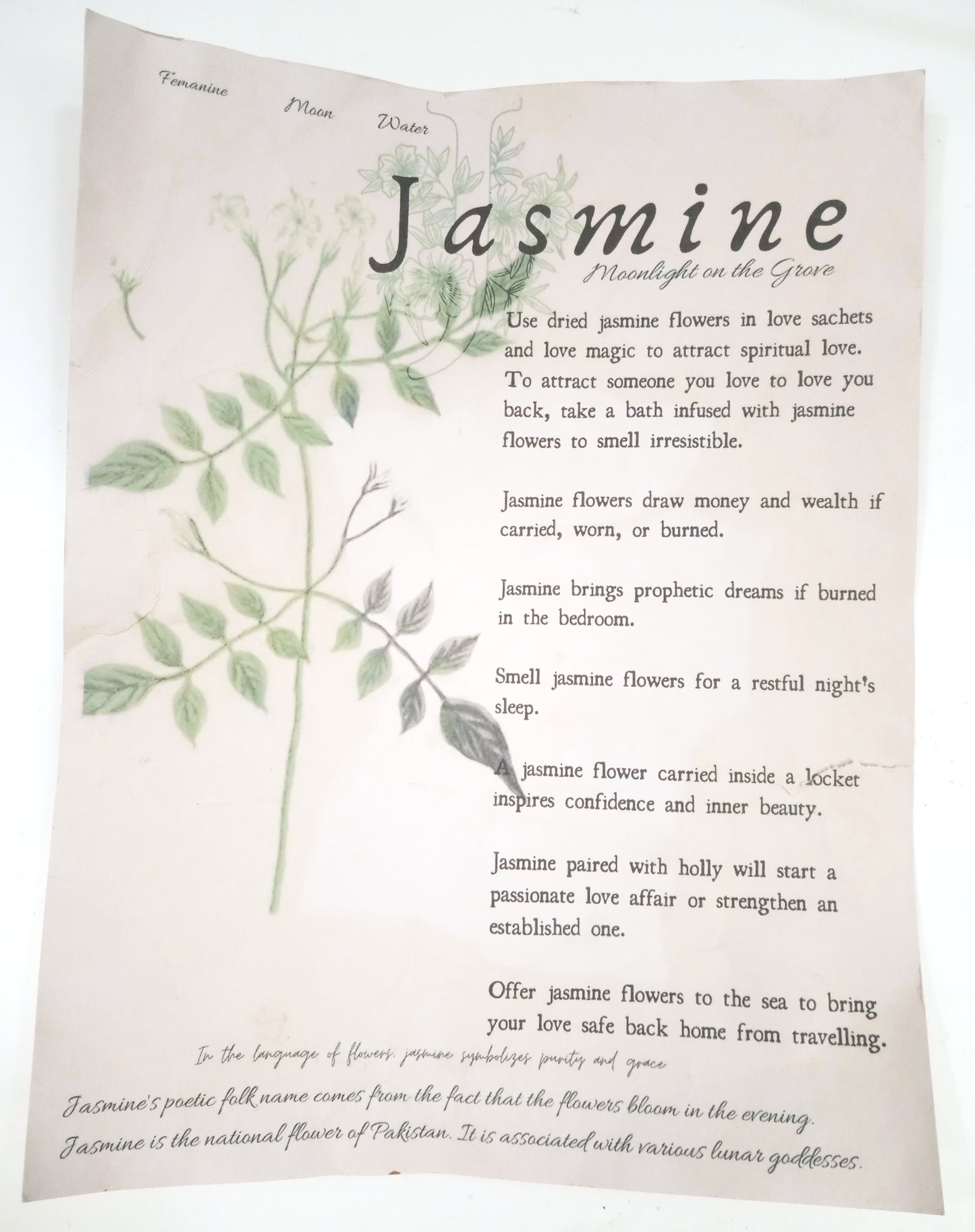 Magical Herbalism Book of Shadows Page Prints