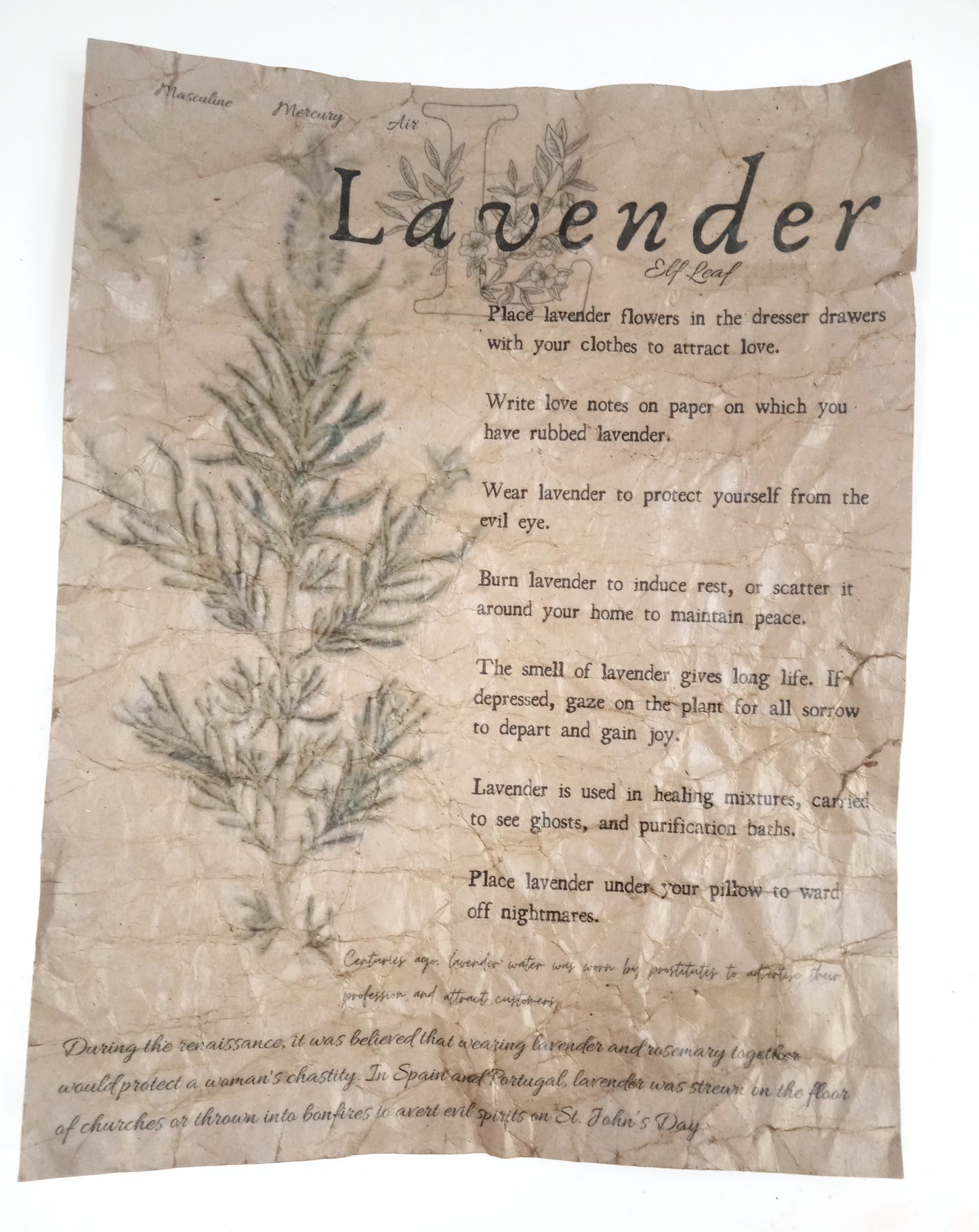 Magical Herbalism Book of Shadows Page Prints