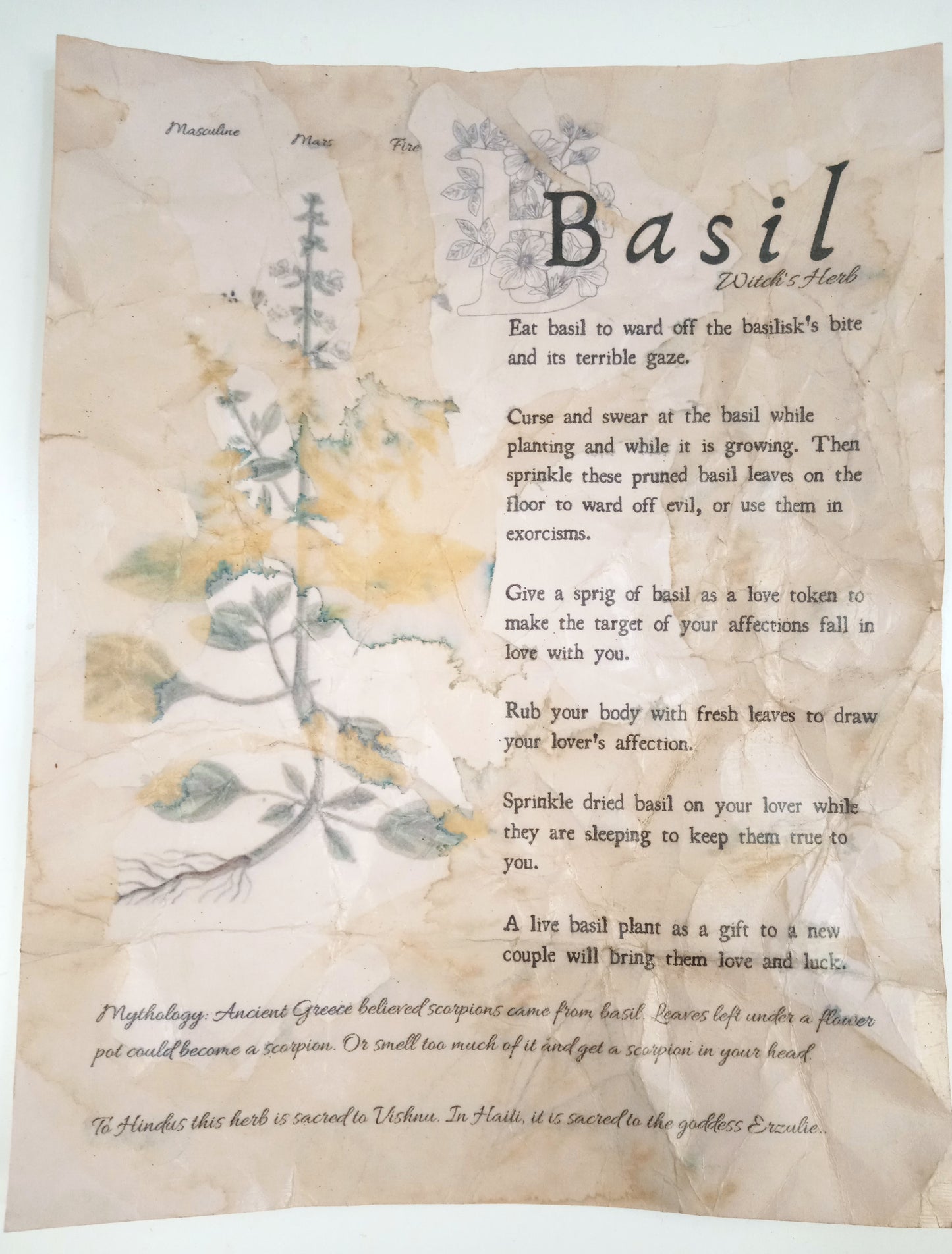 Magical Herbalism Book of Shadows Page Prints