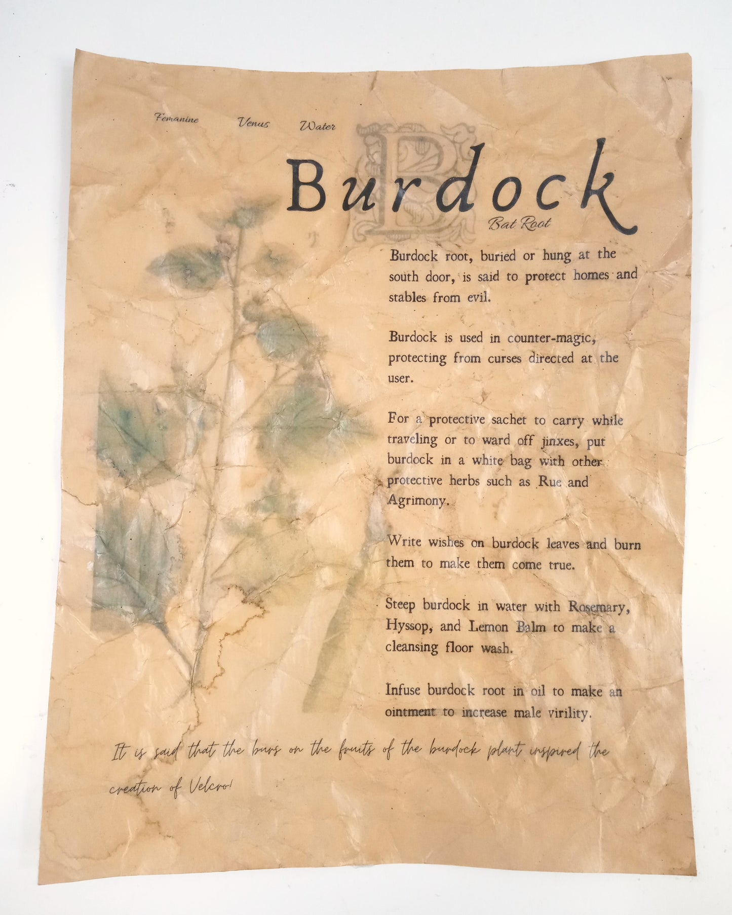 Magical Herbalism Book of Shadows Page Prints