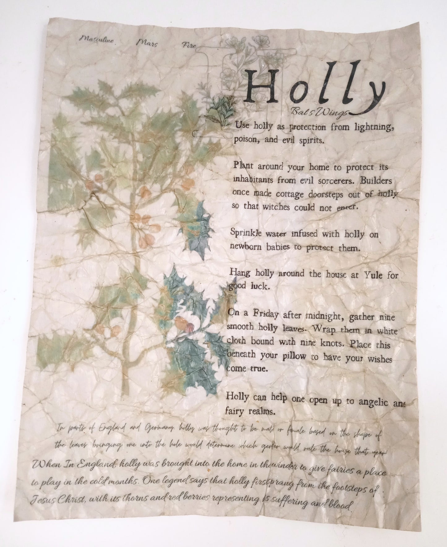 Magical Herbalism Book of Shadows Page Prints