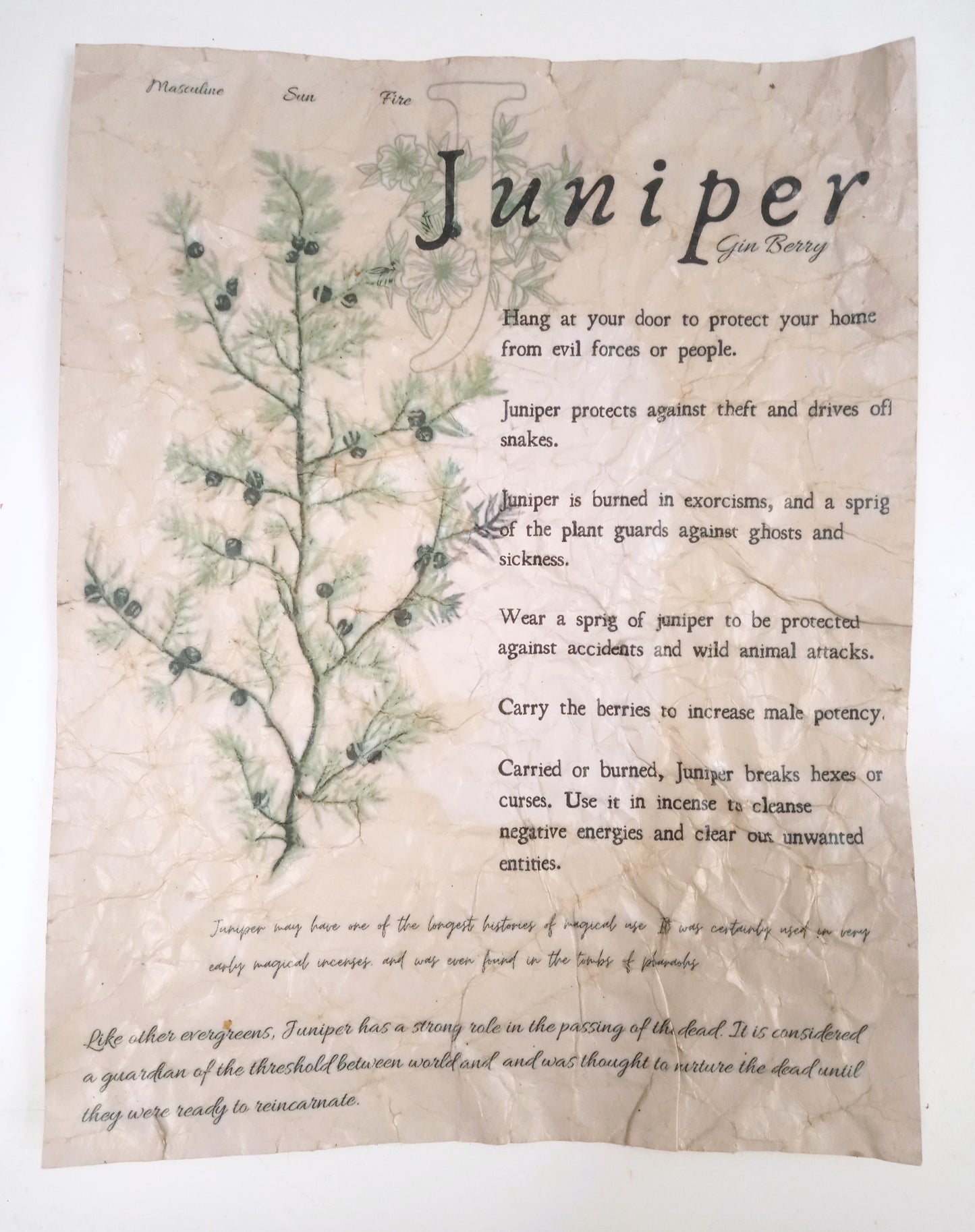 Magical Herbalism Book of Shadows Page Prints