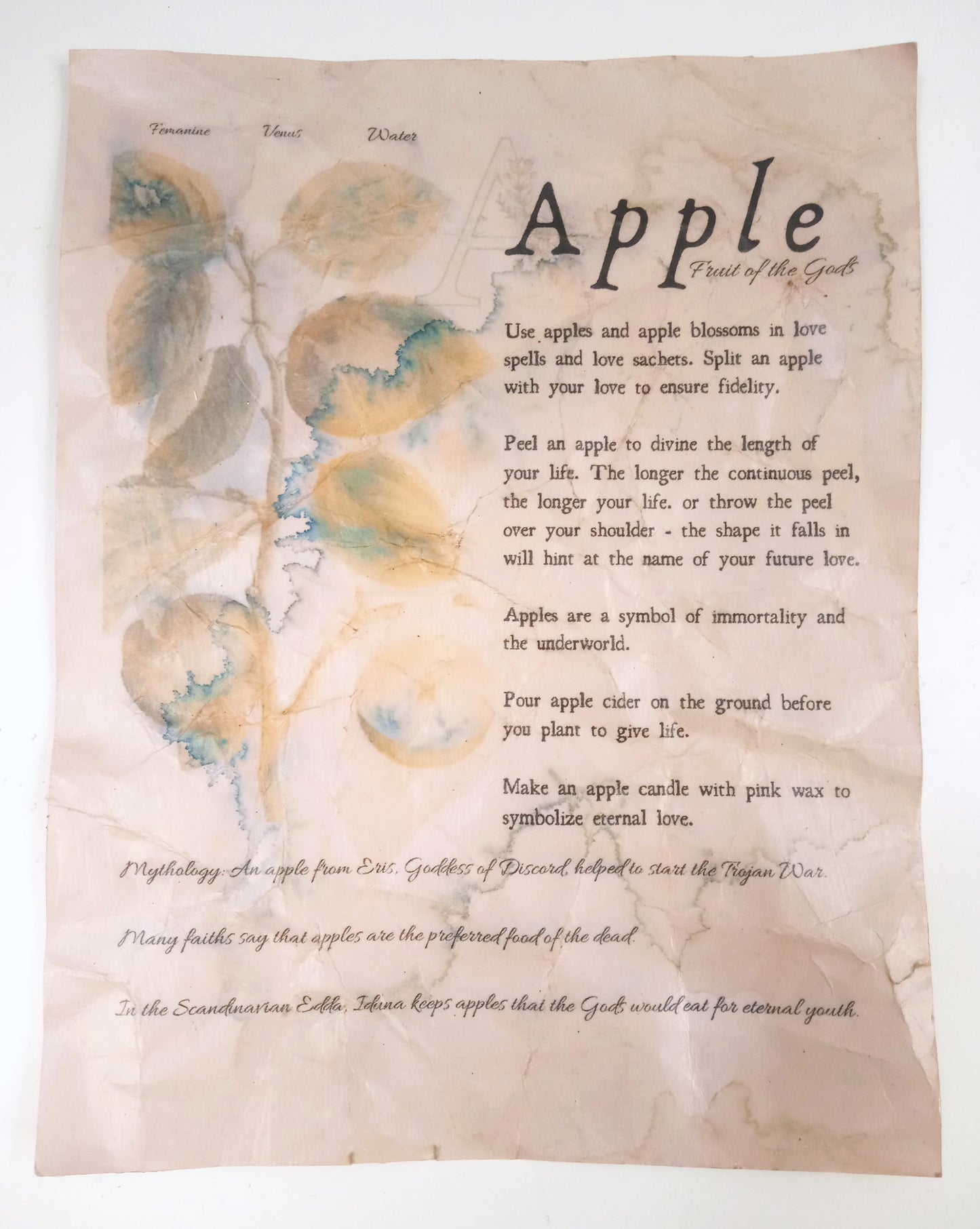 Magical Herbalism Book of Shadows Page Prints