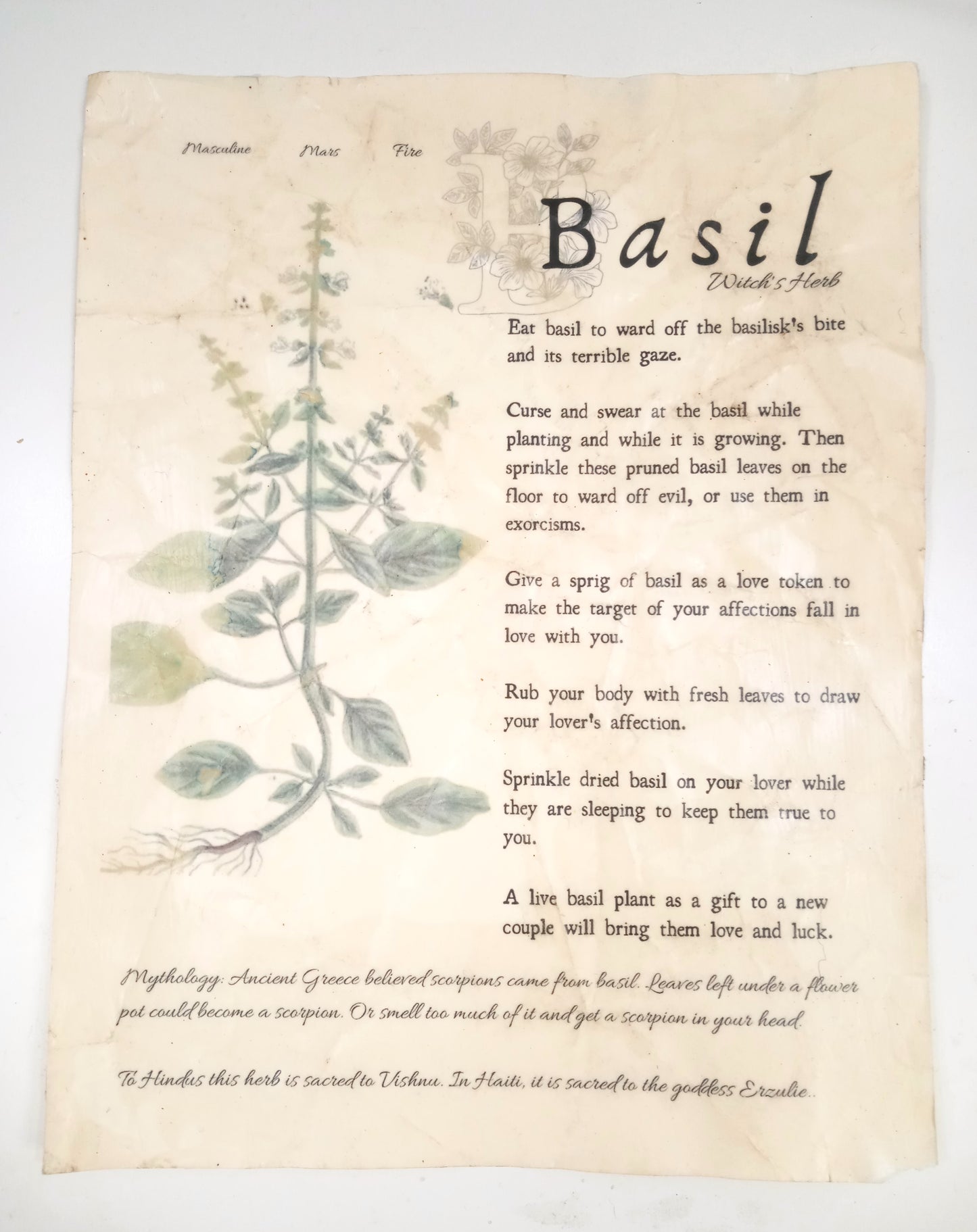 Magical Herbalism Book of Shadows Page Prints