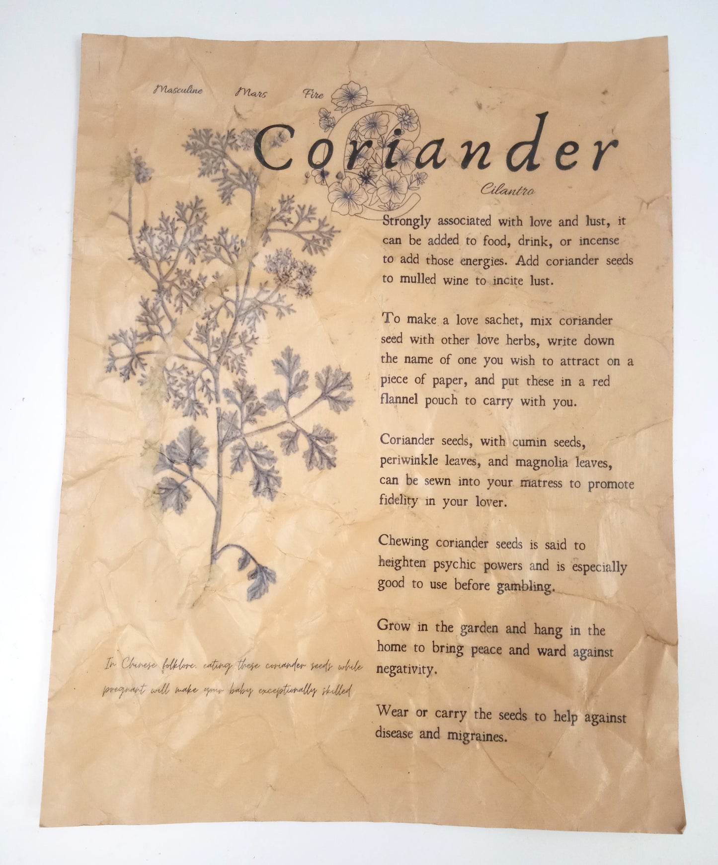 Magical Herbalism Book of Shadows Page Prints