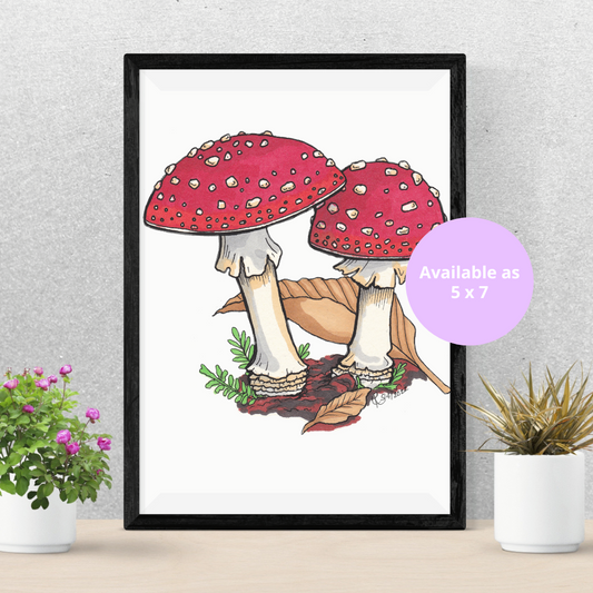 Fly Amanita Mushroom Cluster Art Print