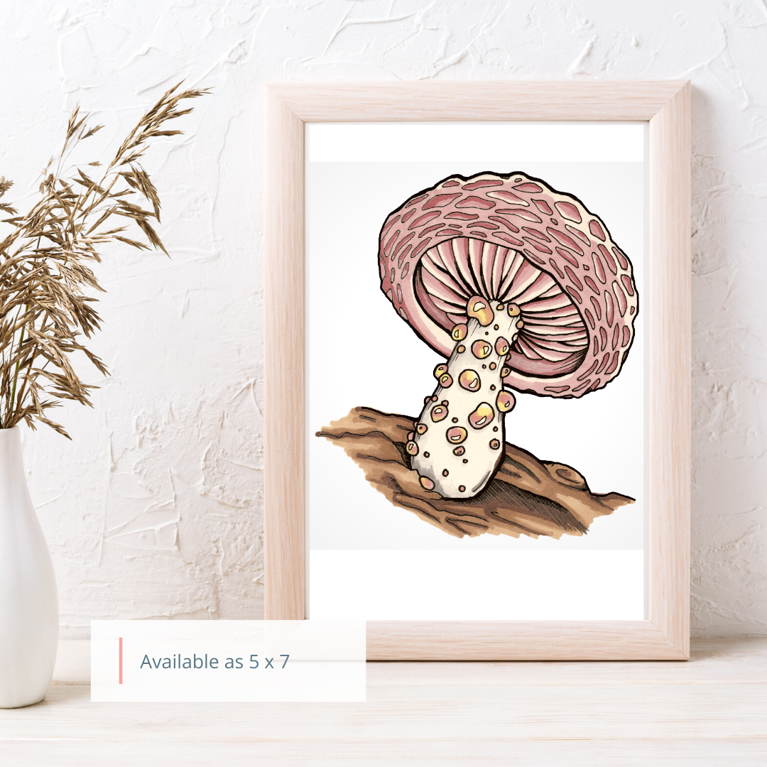 Wrinkled Peach Mushroom Art Print