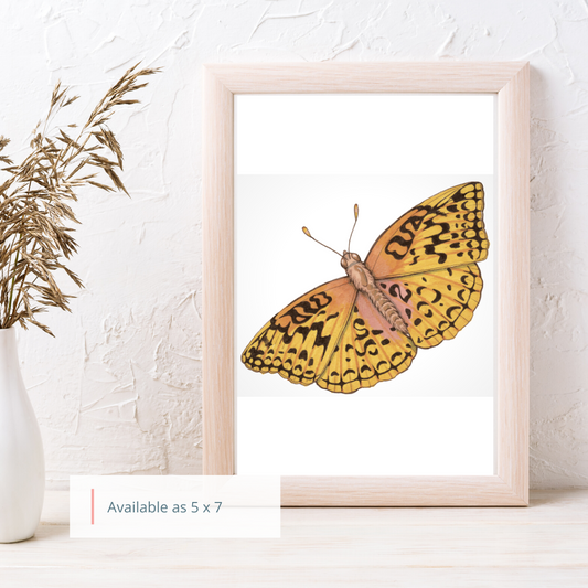 Aphrodite Flitterary Butterfly Art Print