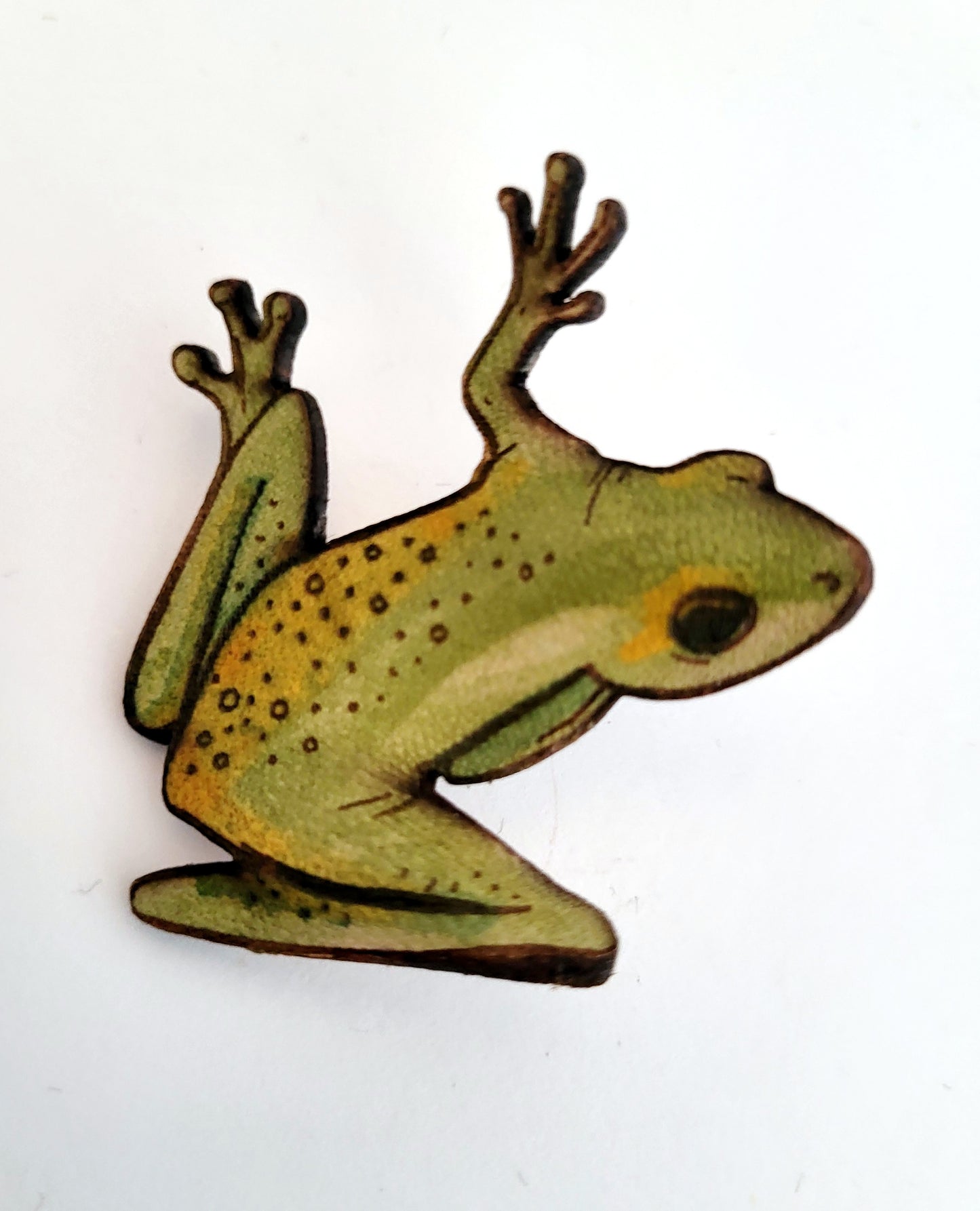 Tree Frog Leather Nature Art Animal Pin