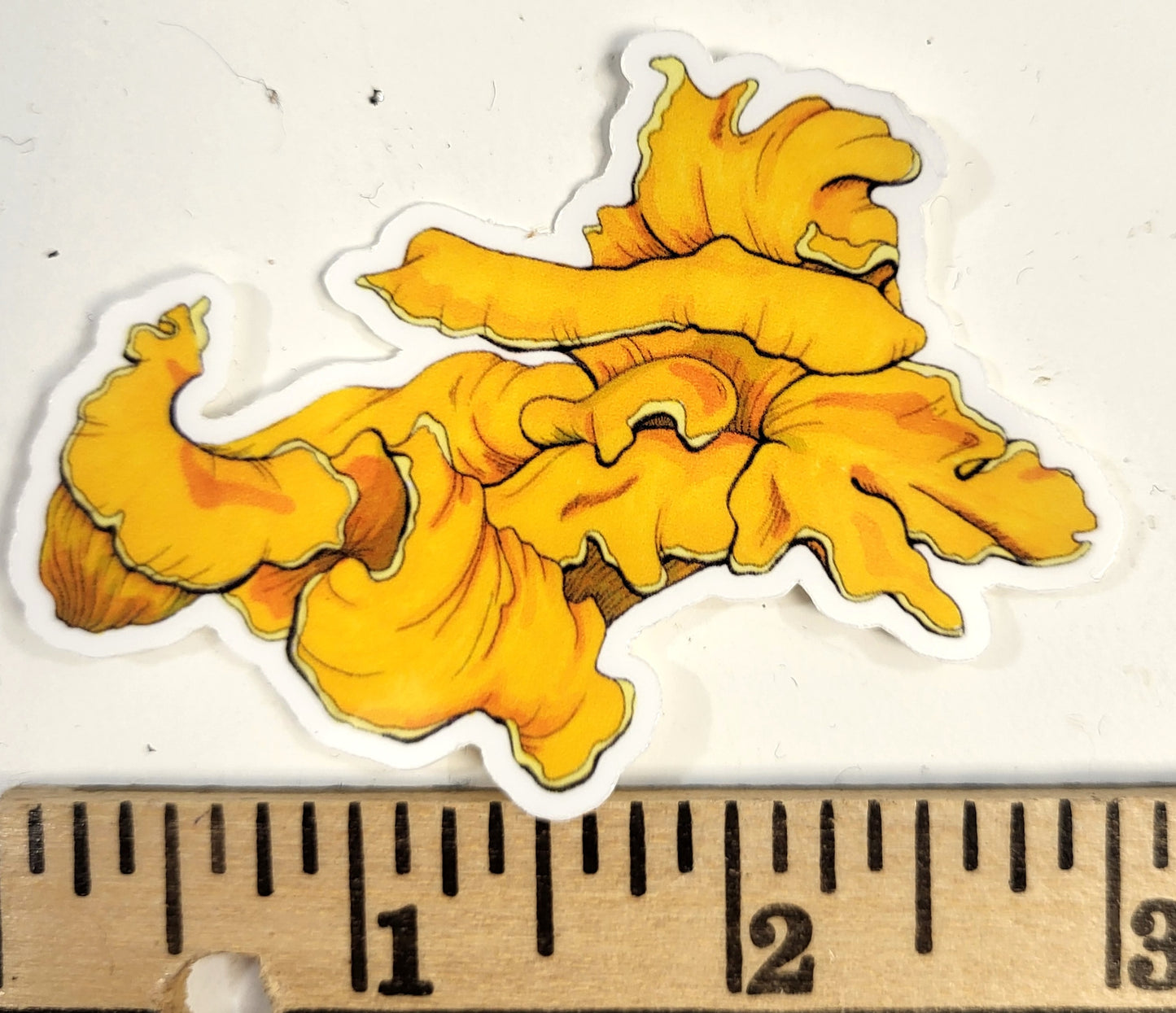 Chanterelle Mushroom Vinyl Sticker