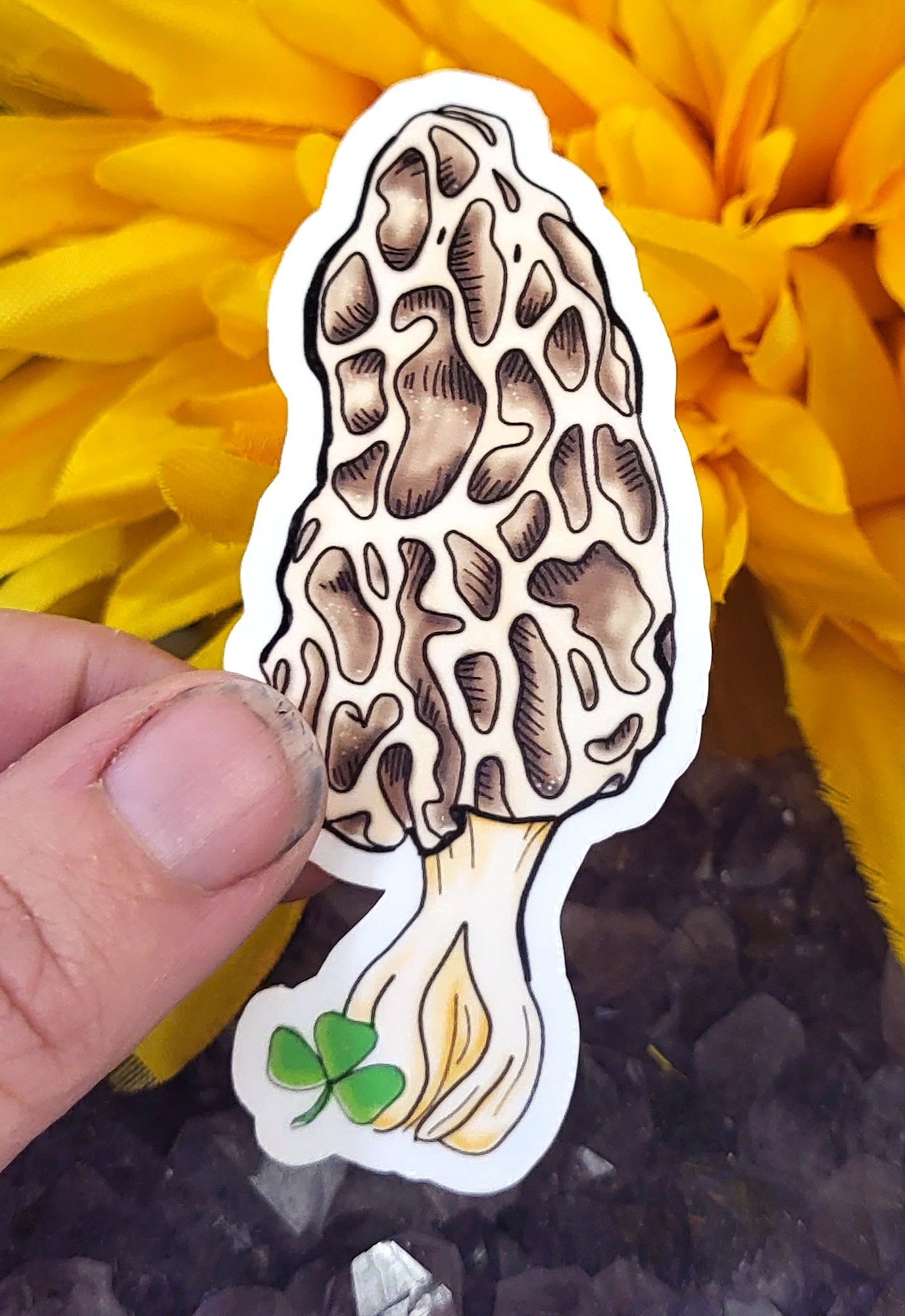 Morel Mushroom Vinyl Sticker