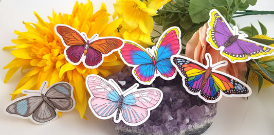 Pride Flag Butterfly Vinyl Stickers