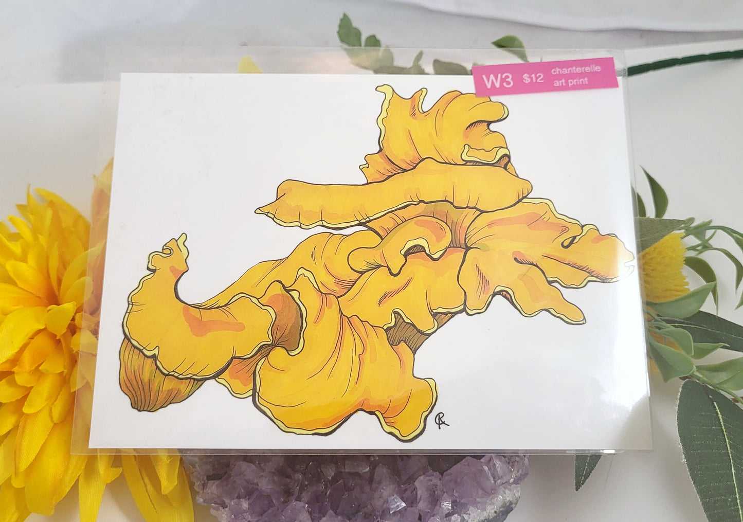 Chanterelle Mushroom Art Print