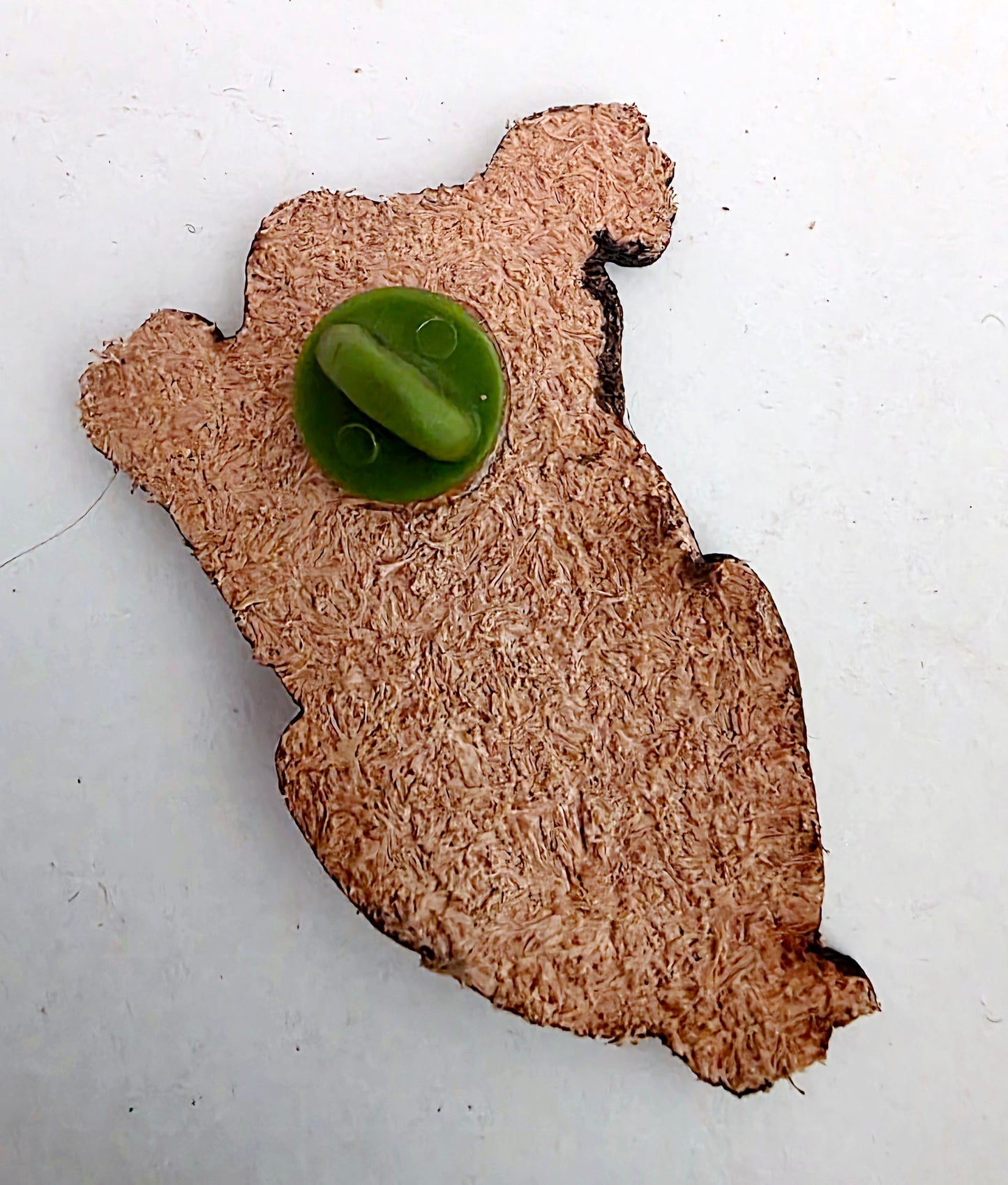 Koala Leather Nature Art Animal Pin