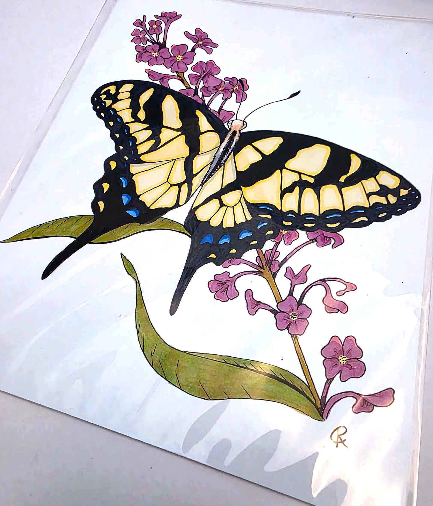 Yellow Swallowtail Butterfly Art Print