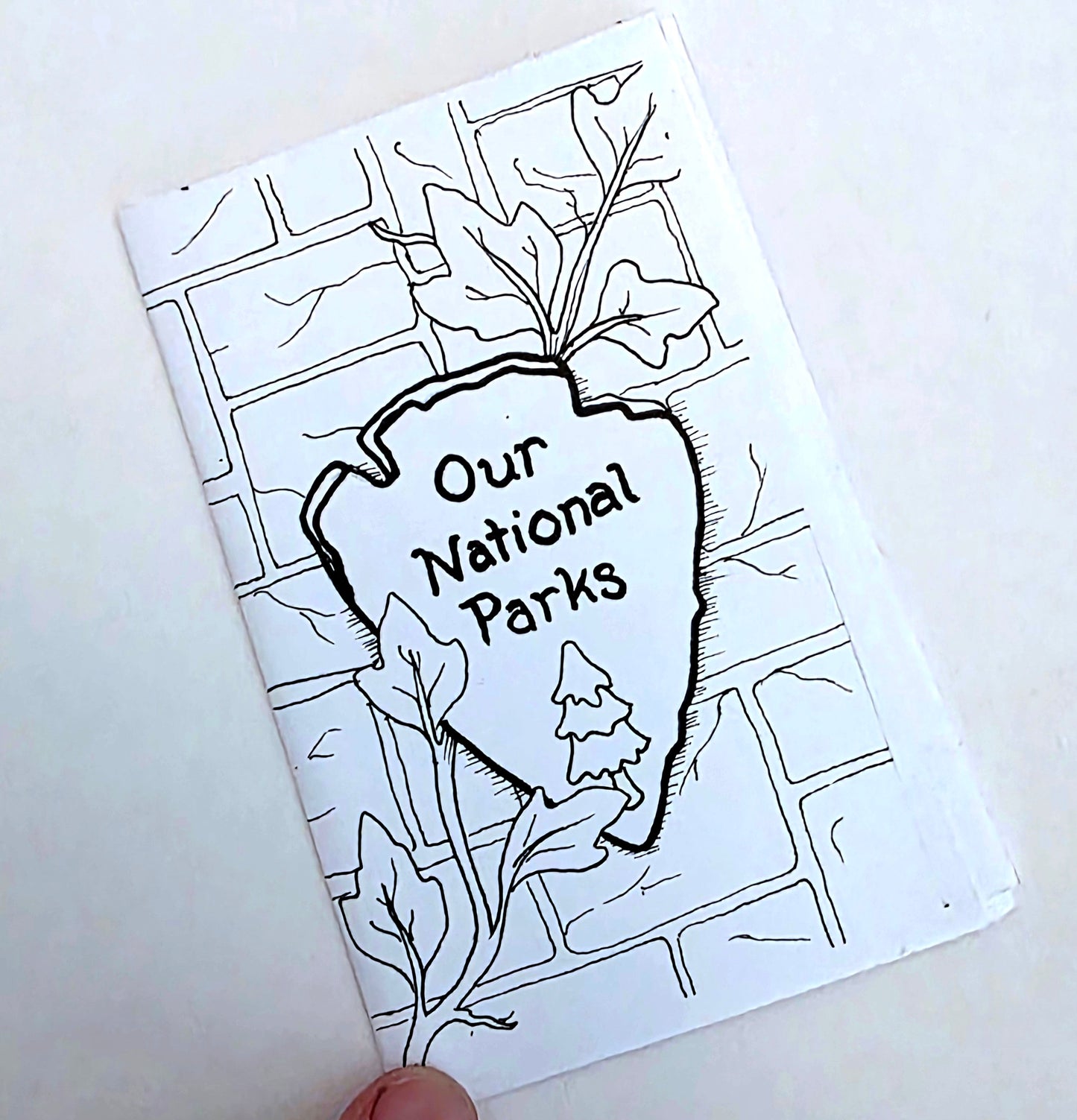 Our National Parks Mini Zine
