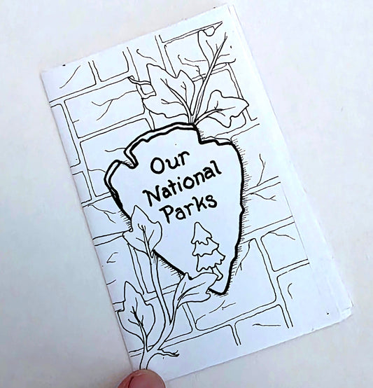 Our National Parks Mini Zine