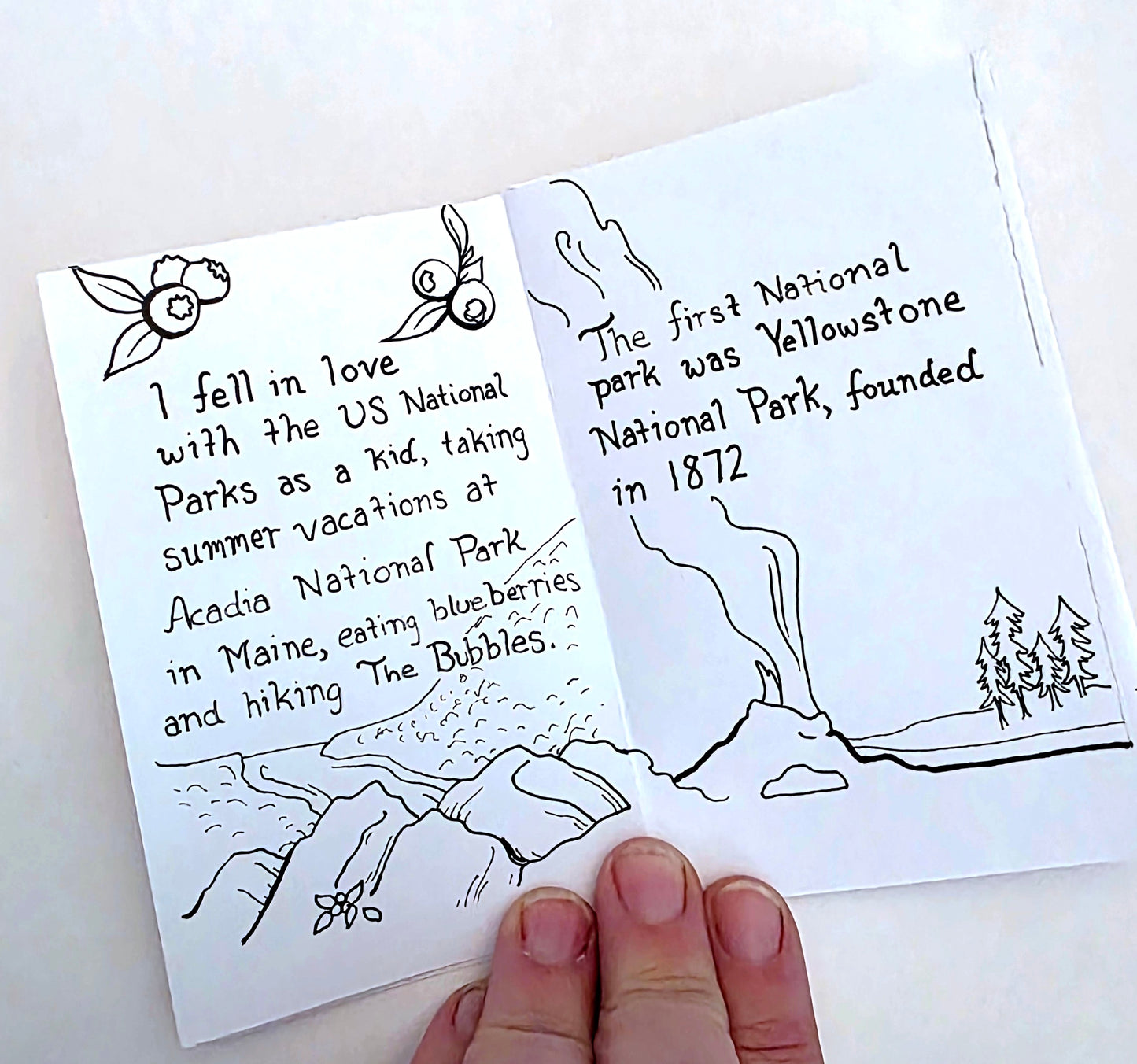 Our National Parks Mini Zine