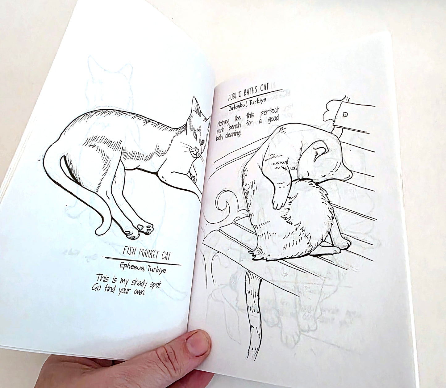 Street Cat Sketches Art Book by Cynthia Abernathy