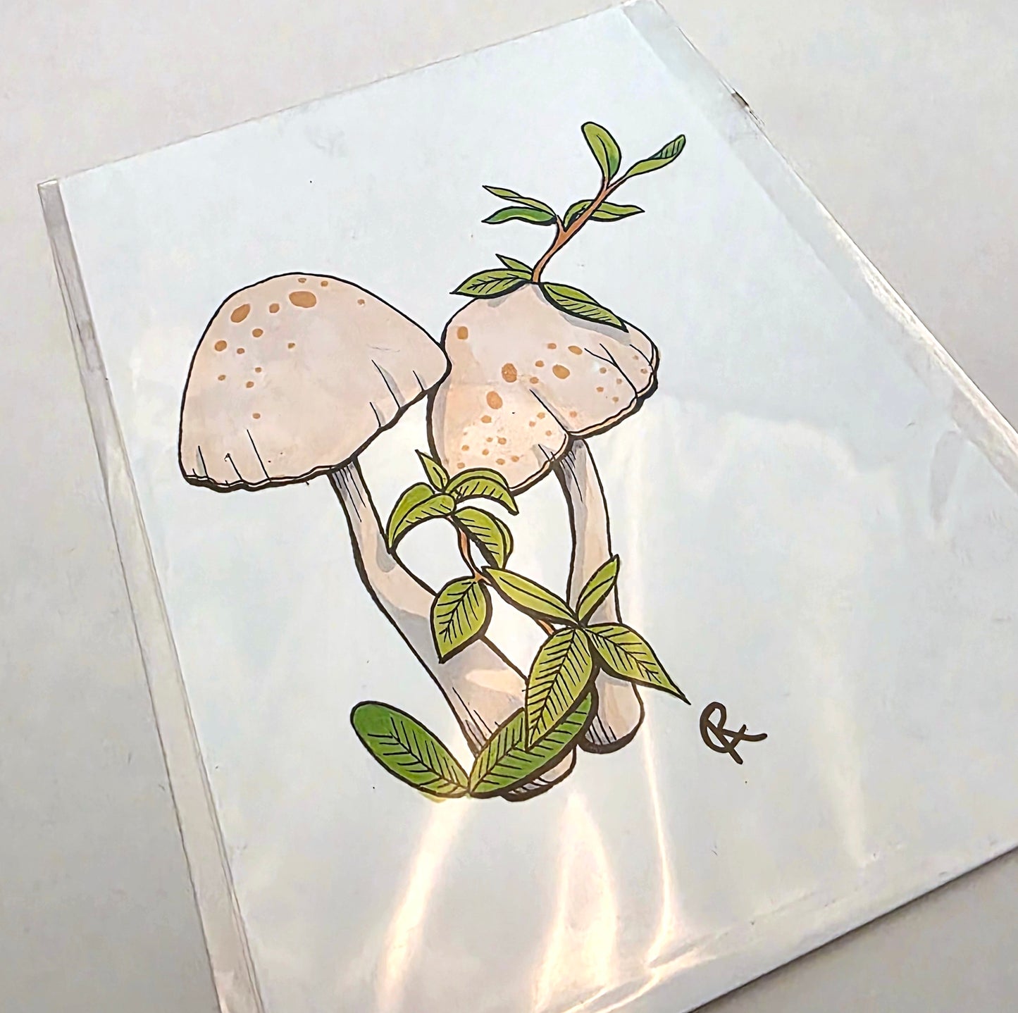 Yard Mushroom Art Print